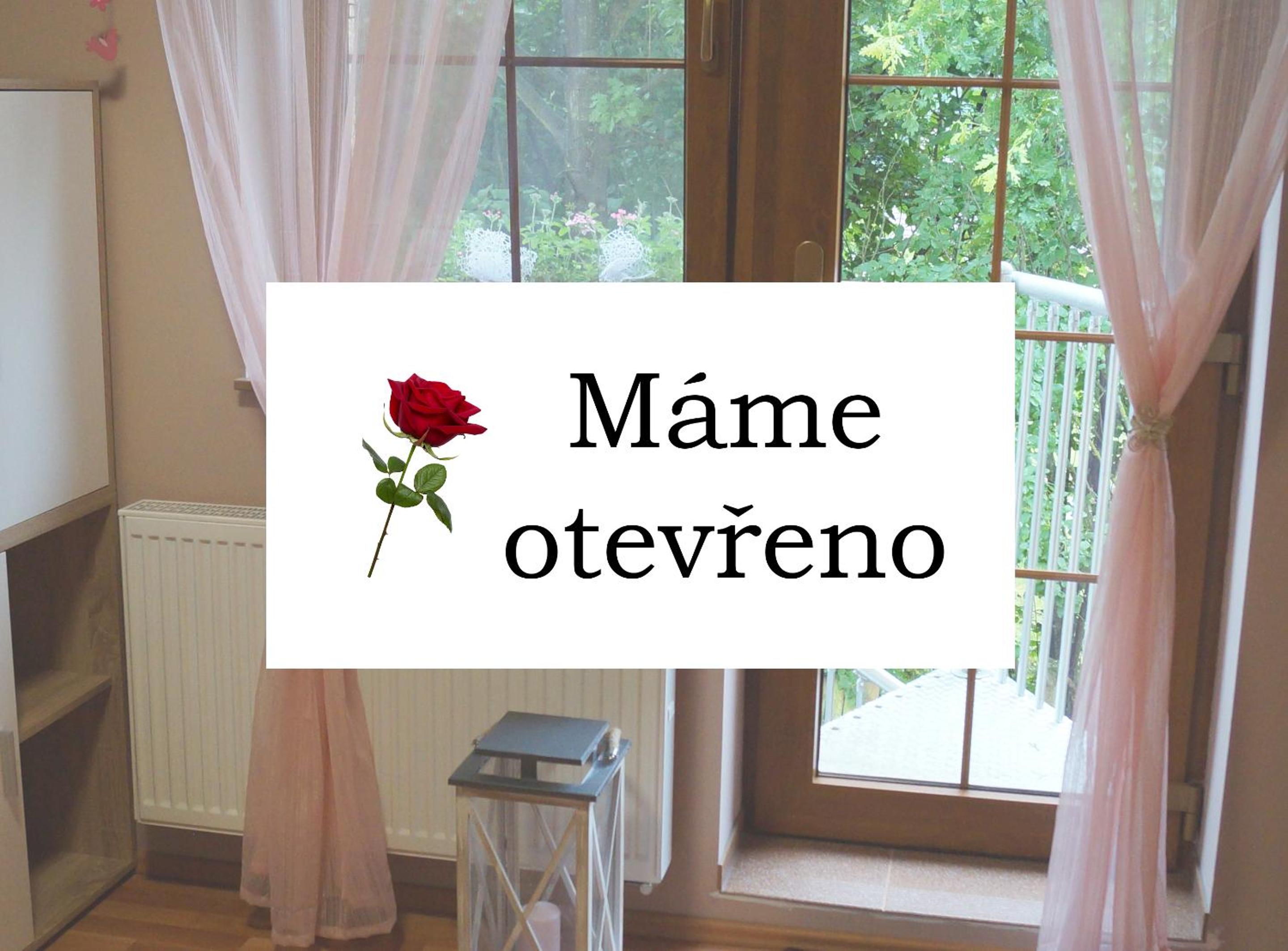 Ubytování Janův Kout