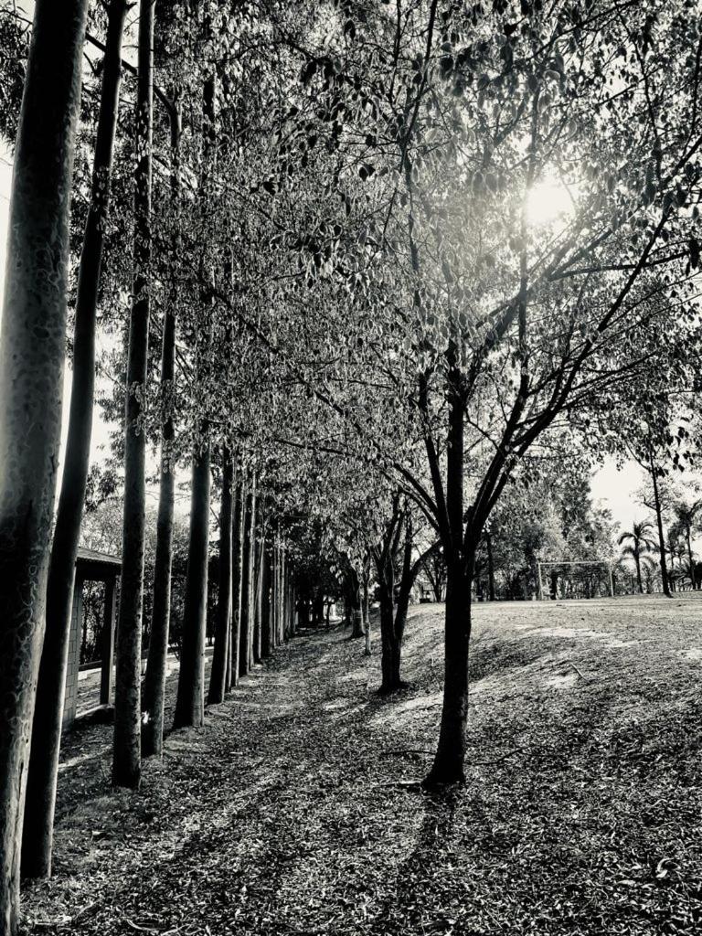 Casa de Campo Magnifica