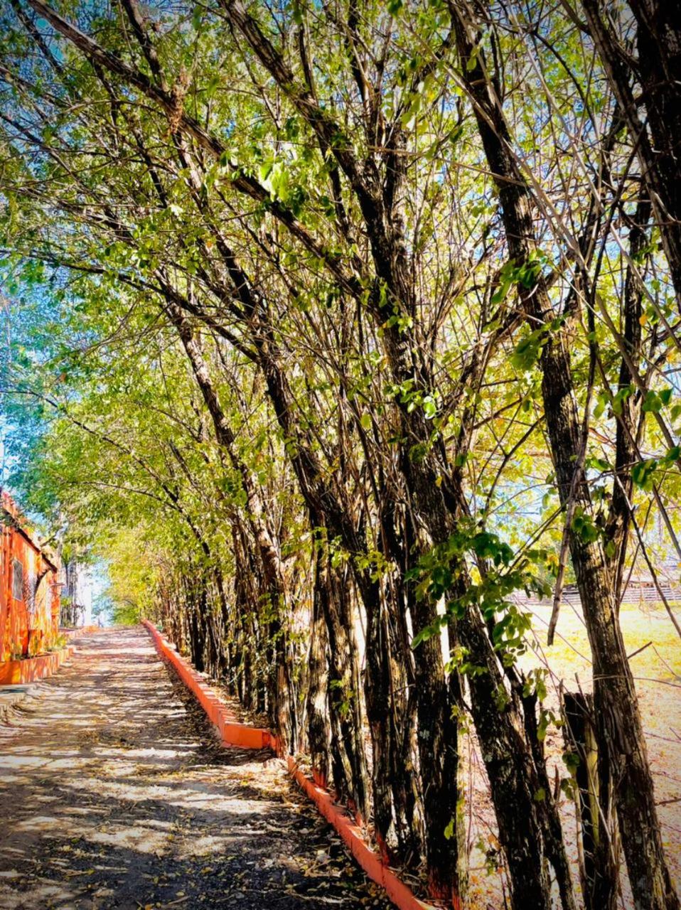 Casa de Campo Magnifica
