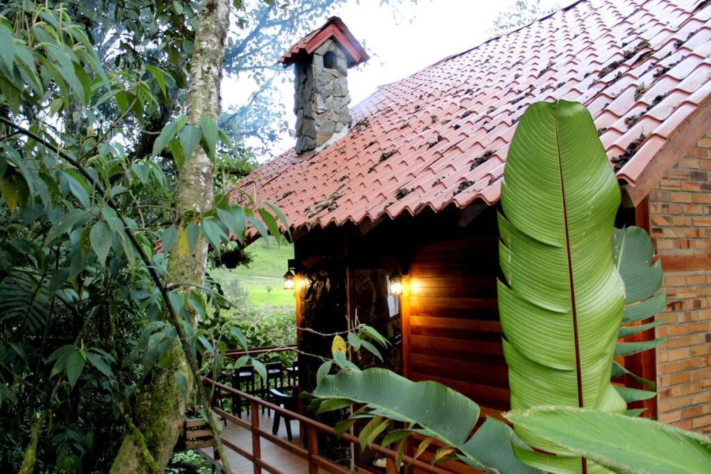 Cabaña "Los Cedros", Sumak Cabañas view 4