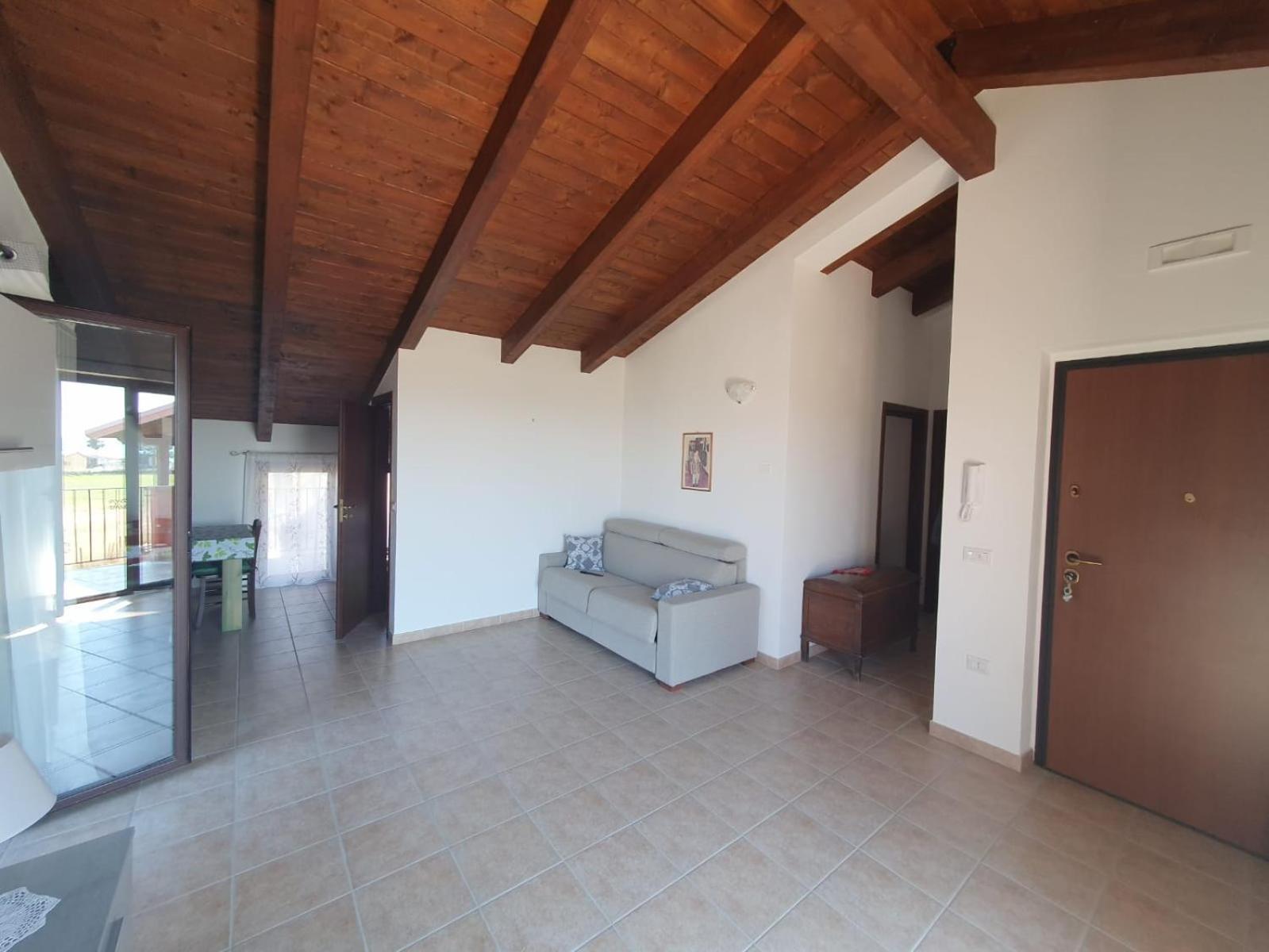 Gabbiano Jonathan, photo 10