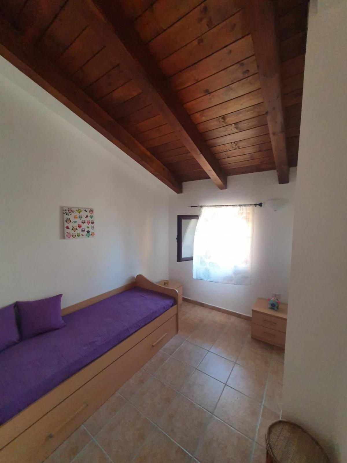 Gabbiano Jonathan, photo 16