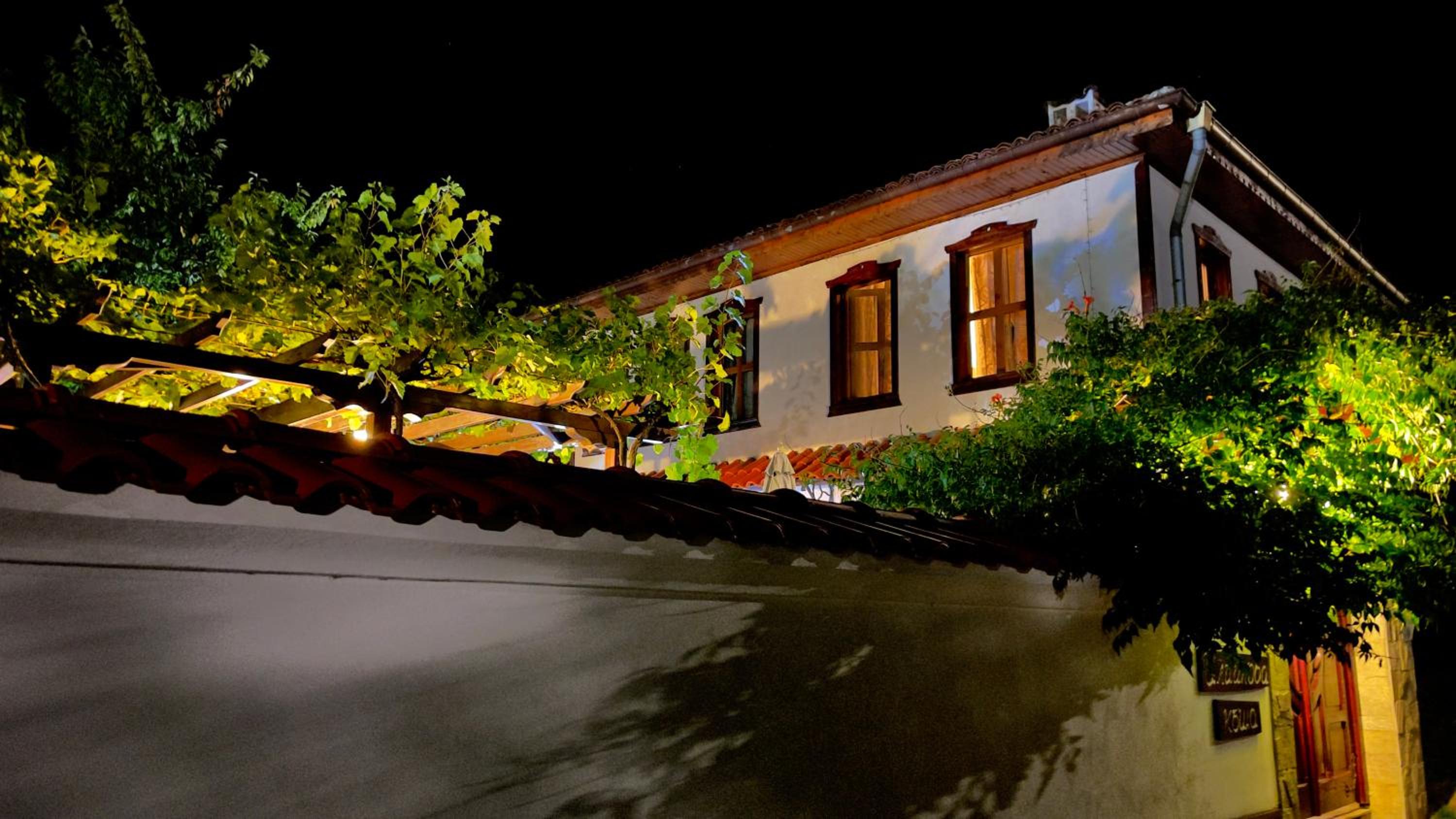 Iliikova House