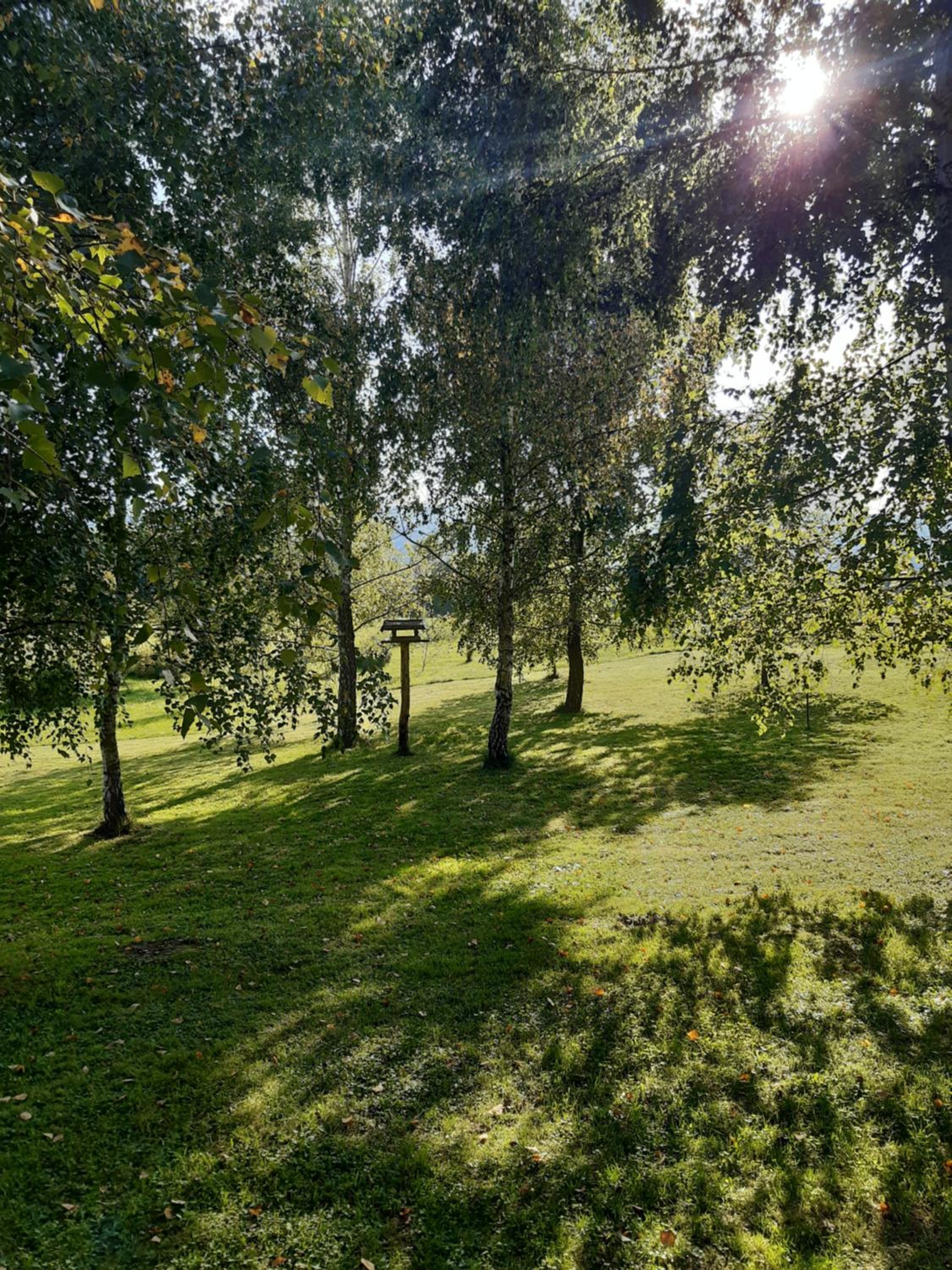 Bies Czadowy Zakątek view 3