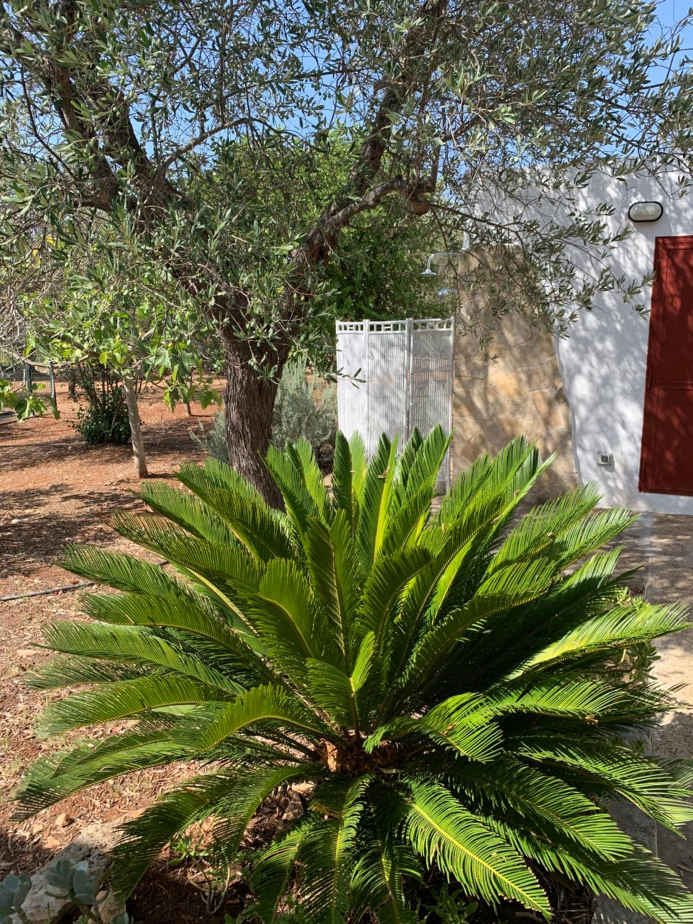 Trullo Tojo photo 4