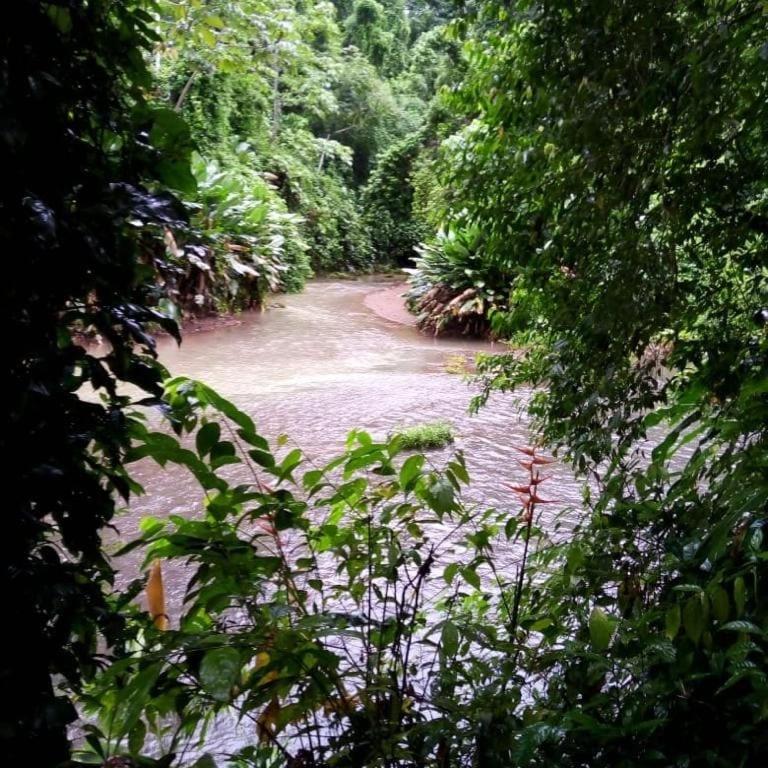 Rio Agujitas Eco-Jungle view 4
