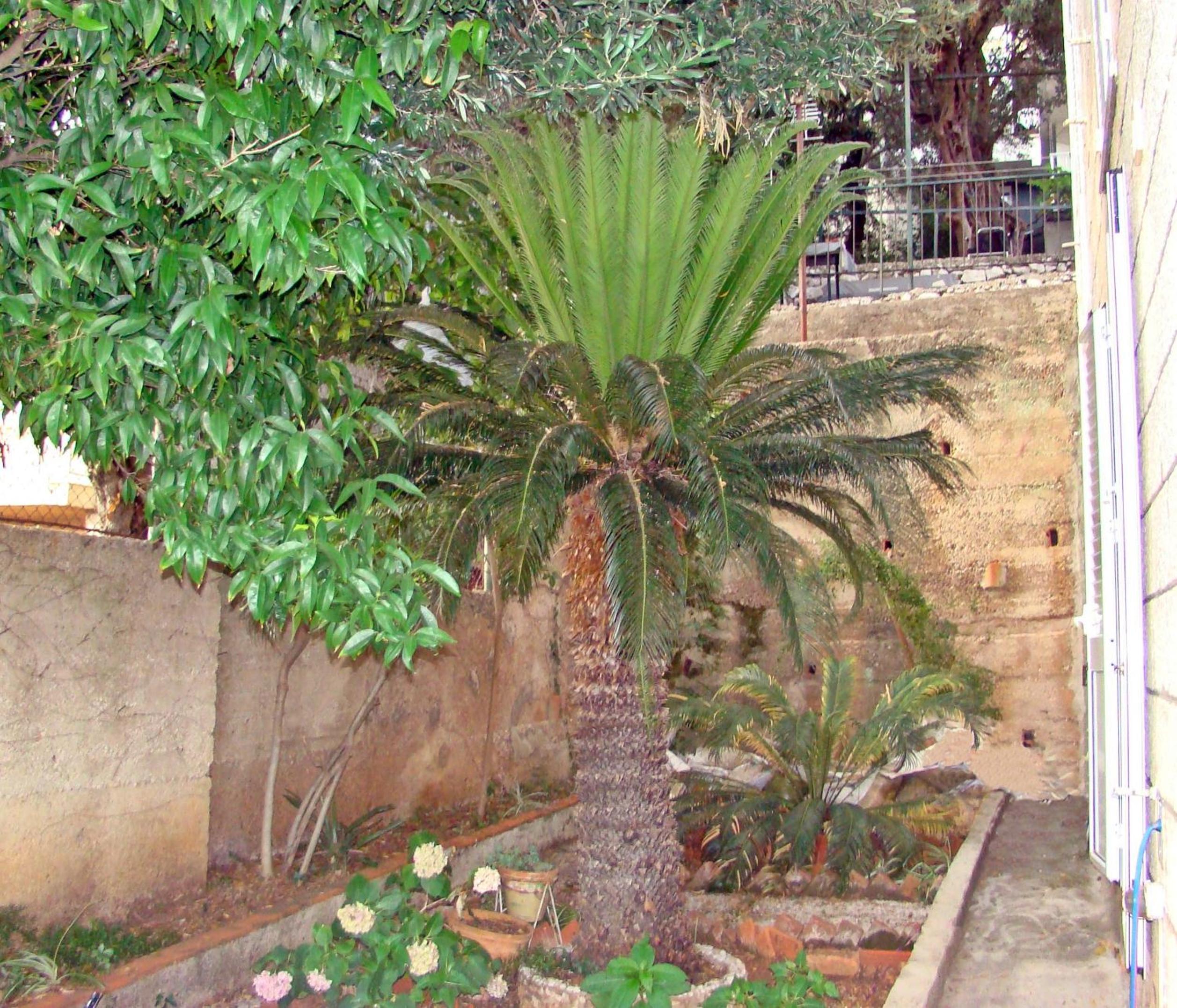 Dubrovnik Apartment Lasic