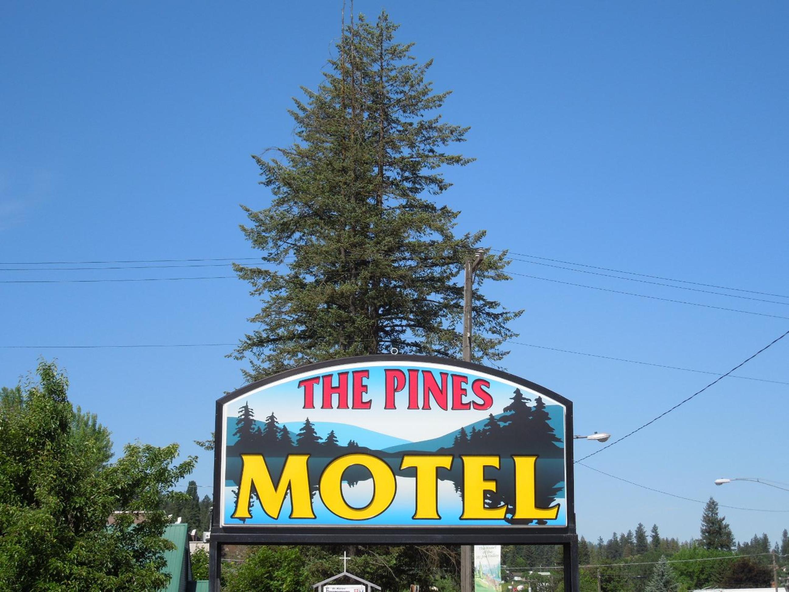 The Pines Motel view 4