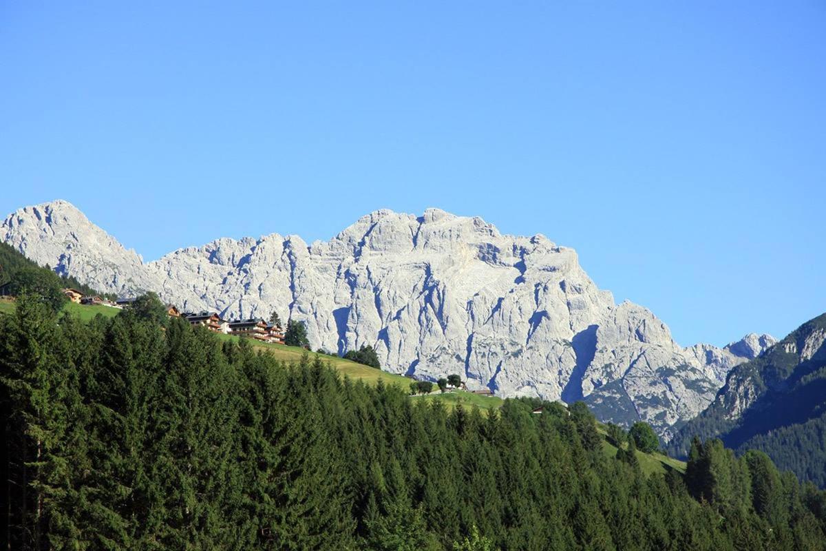 Maso Drigo view 2