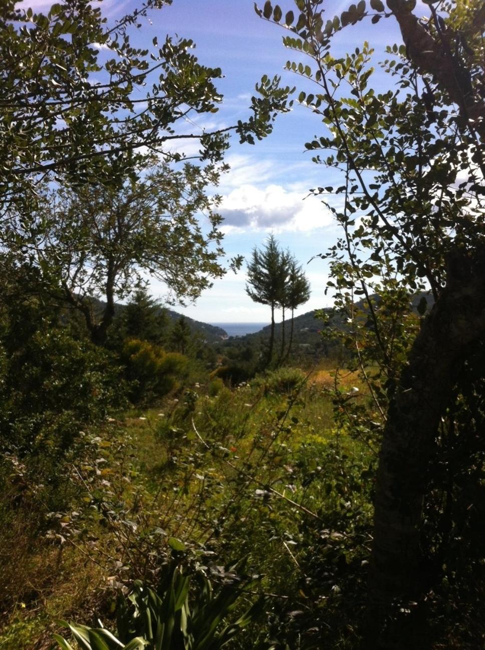 Hacienda Ses Caletes view 3