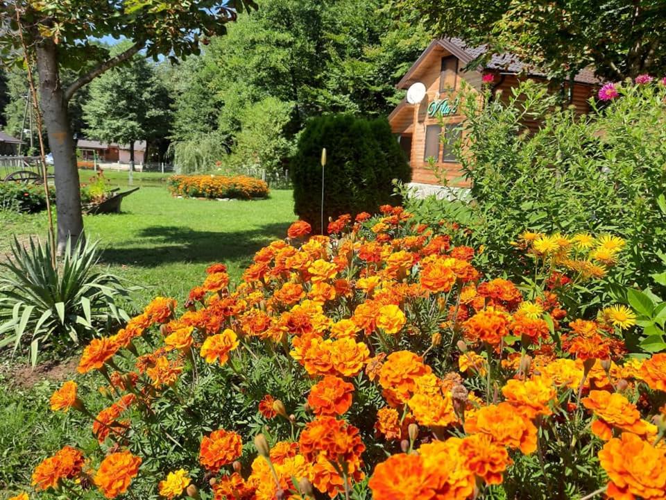 Vikendice Bungalovi Menzil view 5