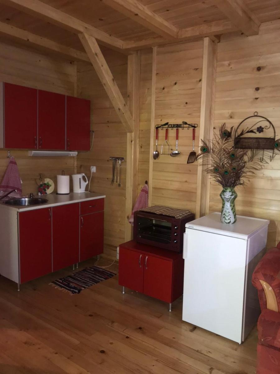 Apartman Mendrea view 5