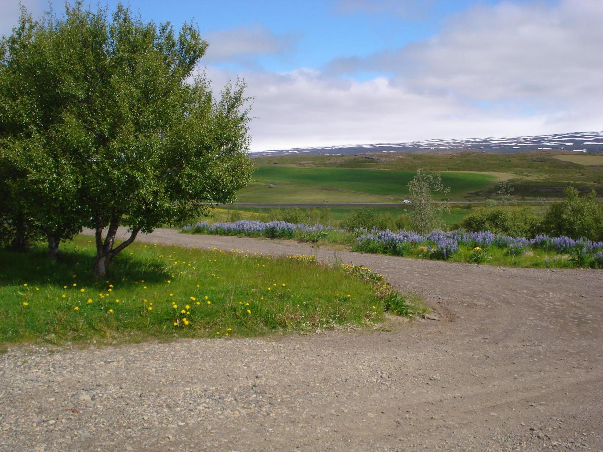 Vinland Guesthouse