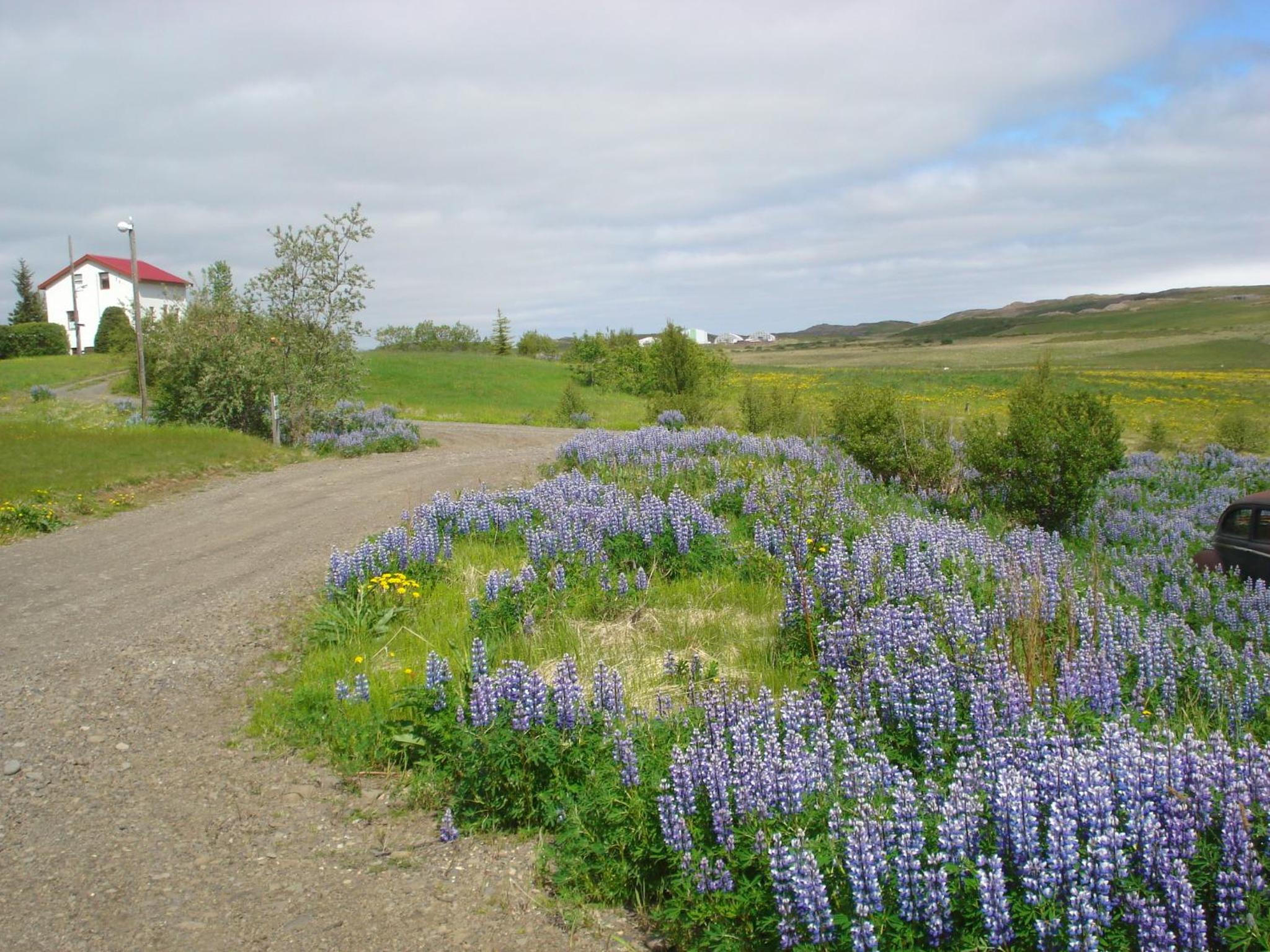 Vinland Guesthouse