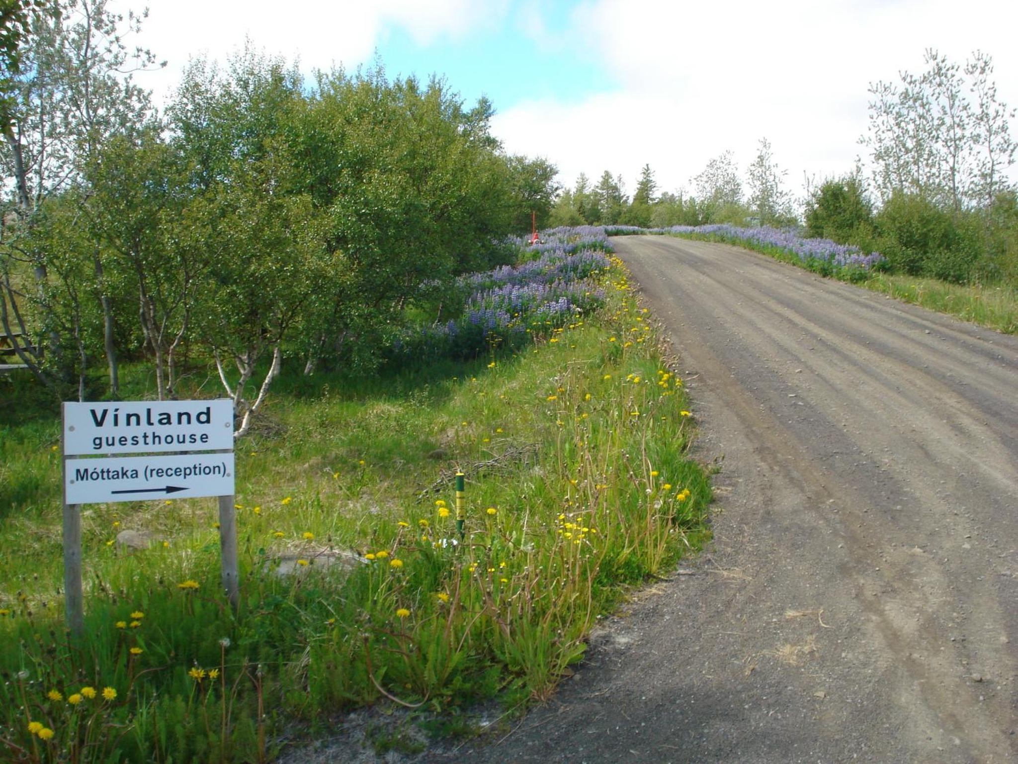 Vinland Guesthouse