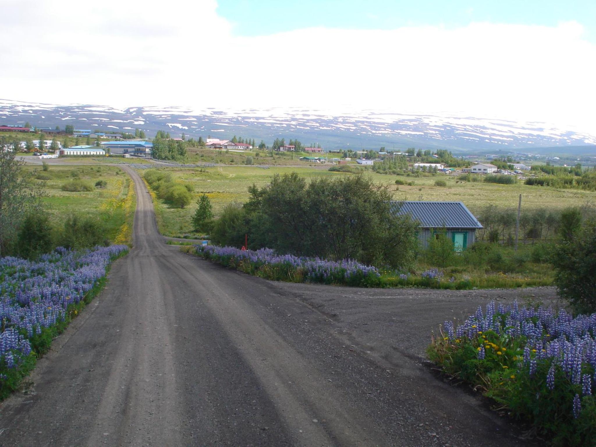Vinland Guesthouse