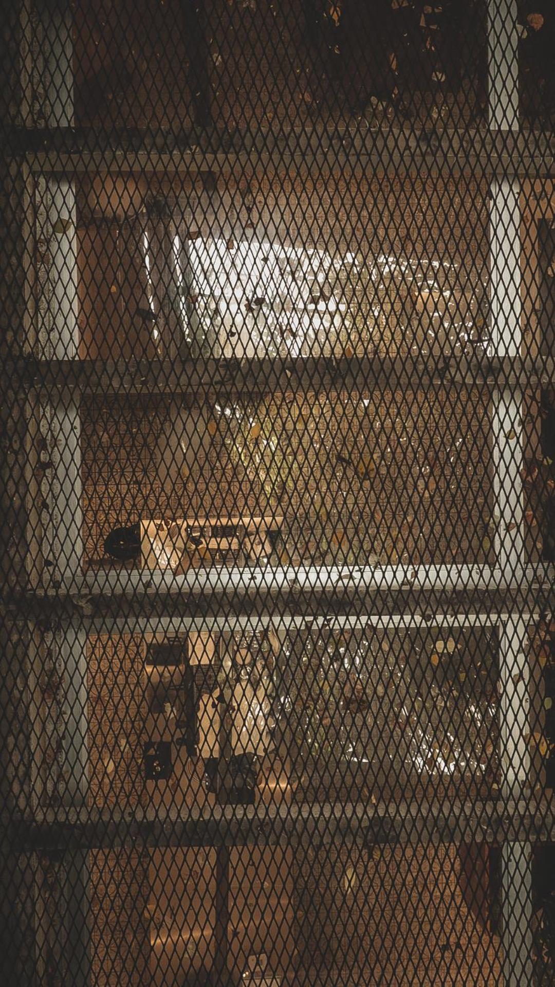 Frenz Republic - SELF CHECK IN, photo 26