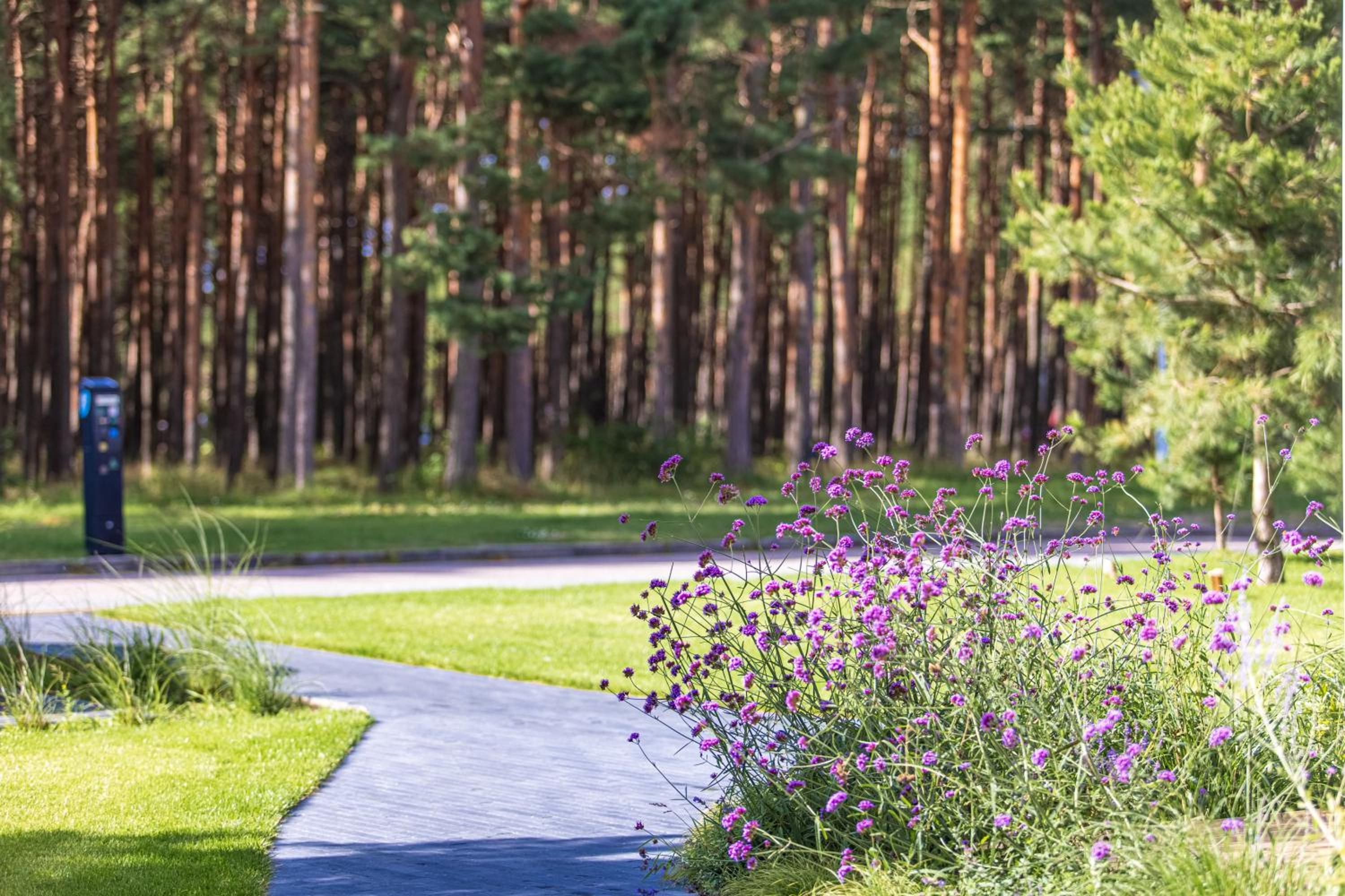 N-22 en Palanga