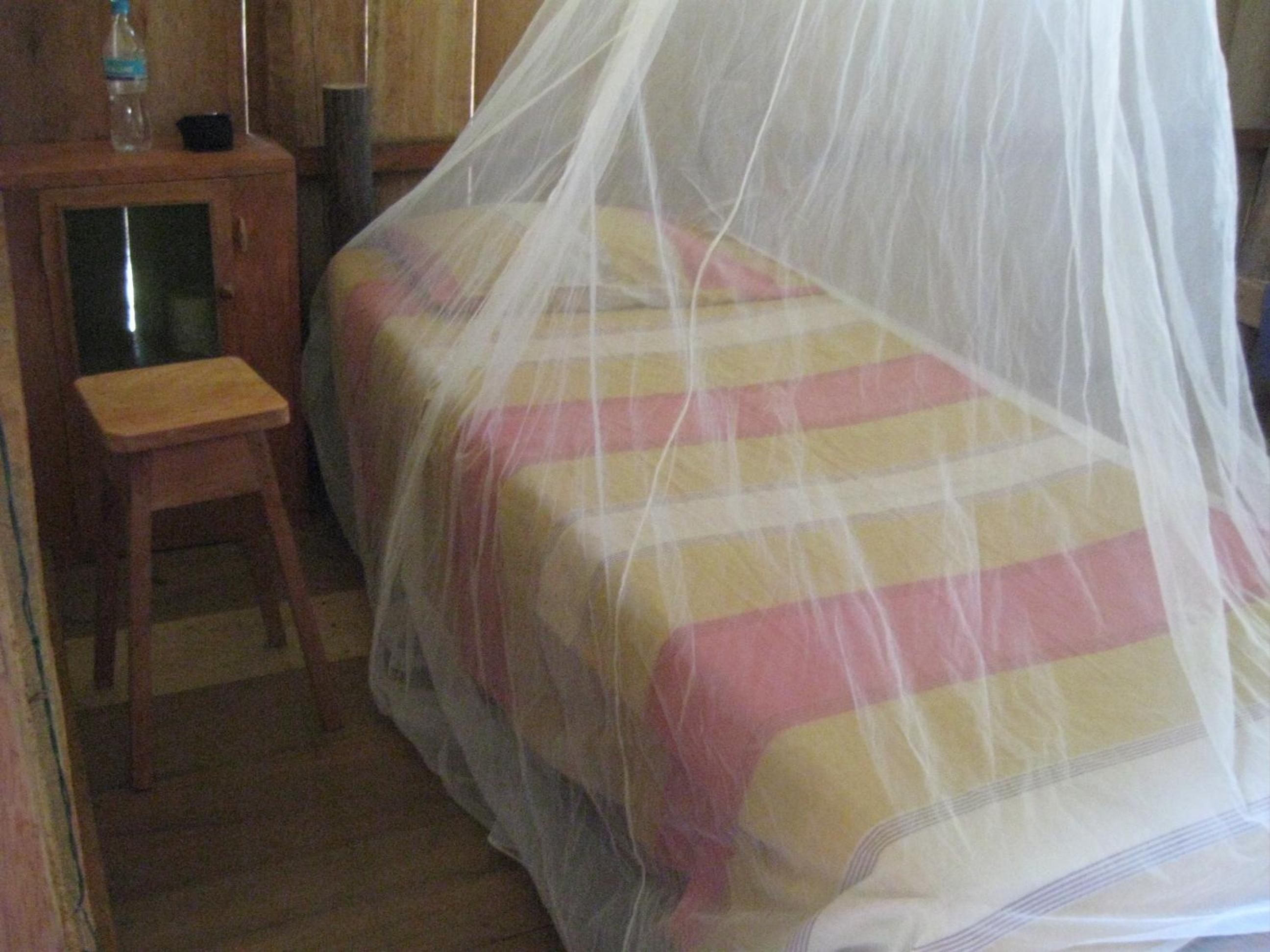 Photo 42