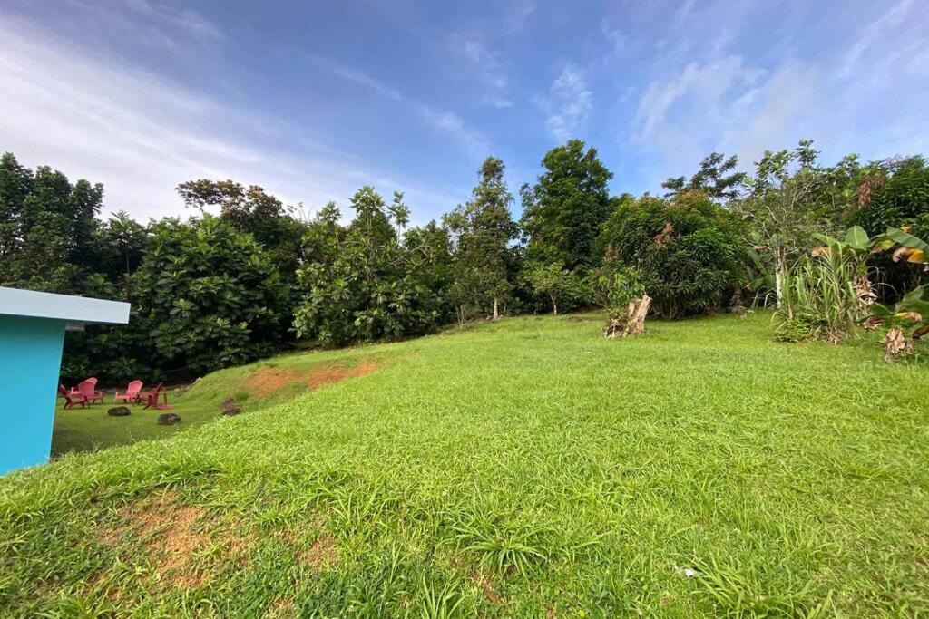 Rainforest Retreat 15 min from the beach