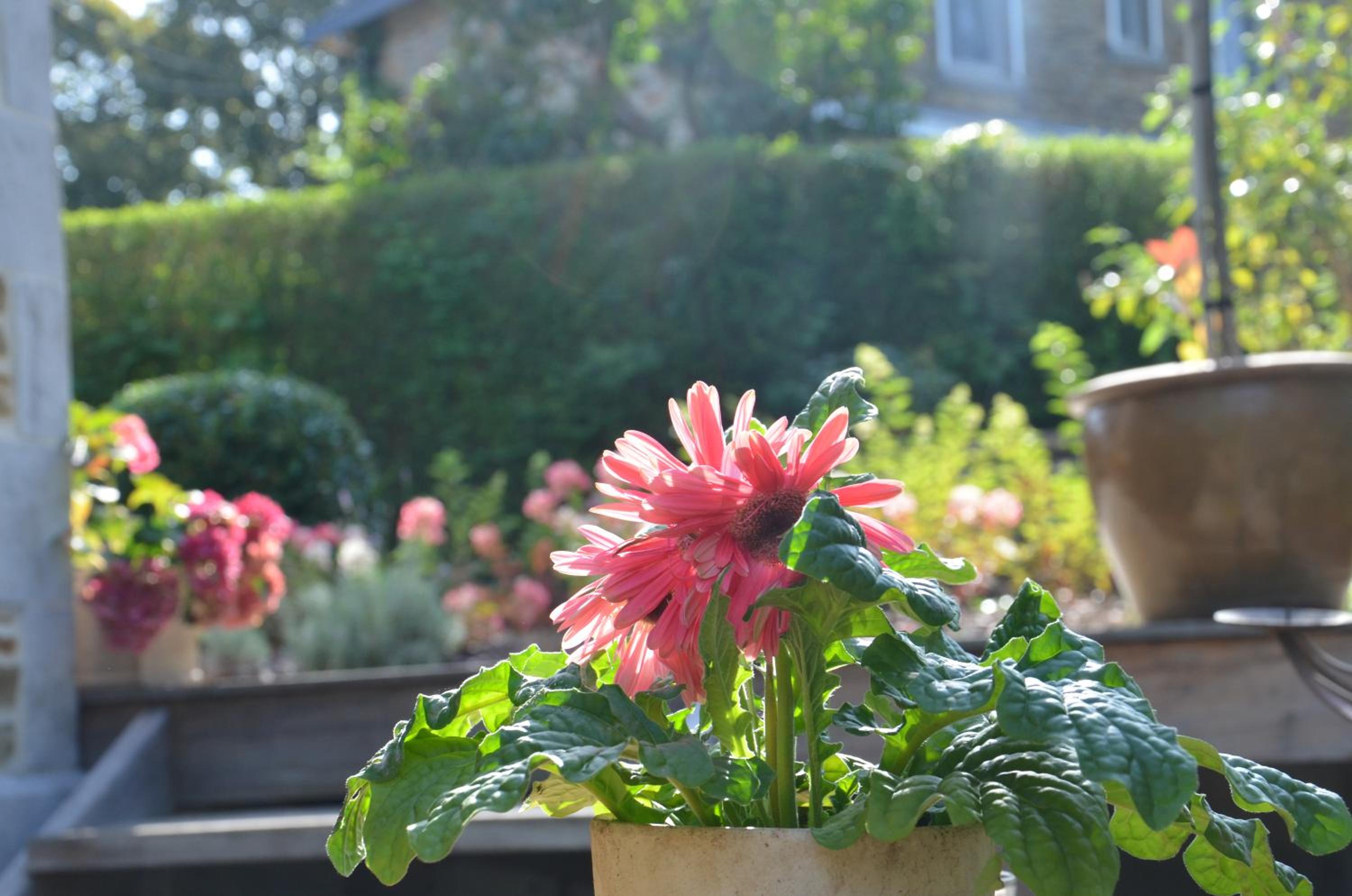 Cottage Marie-Henriette