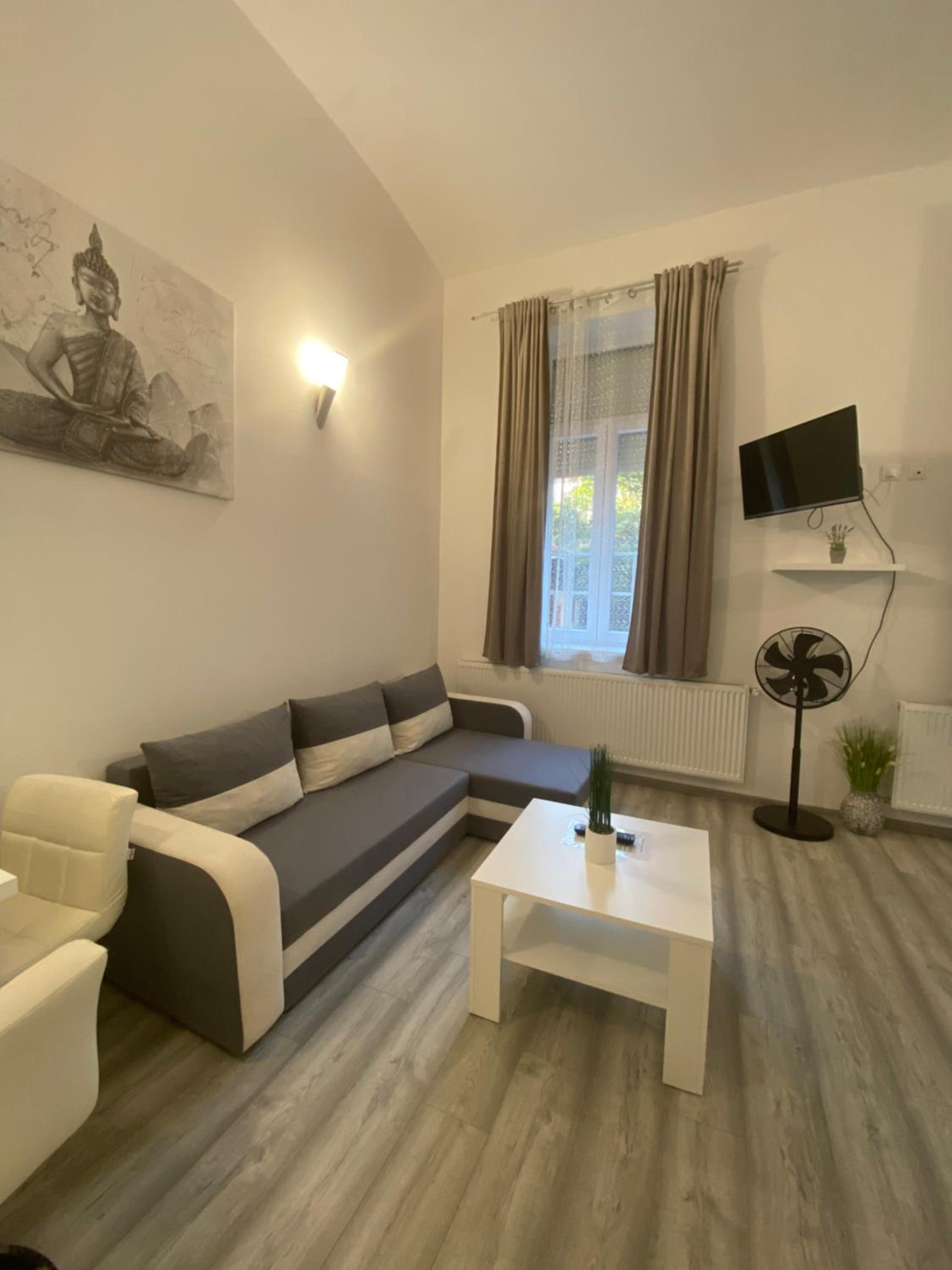 Belvárosi Apartman 3 view 2
