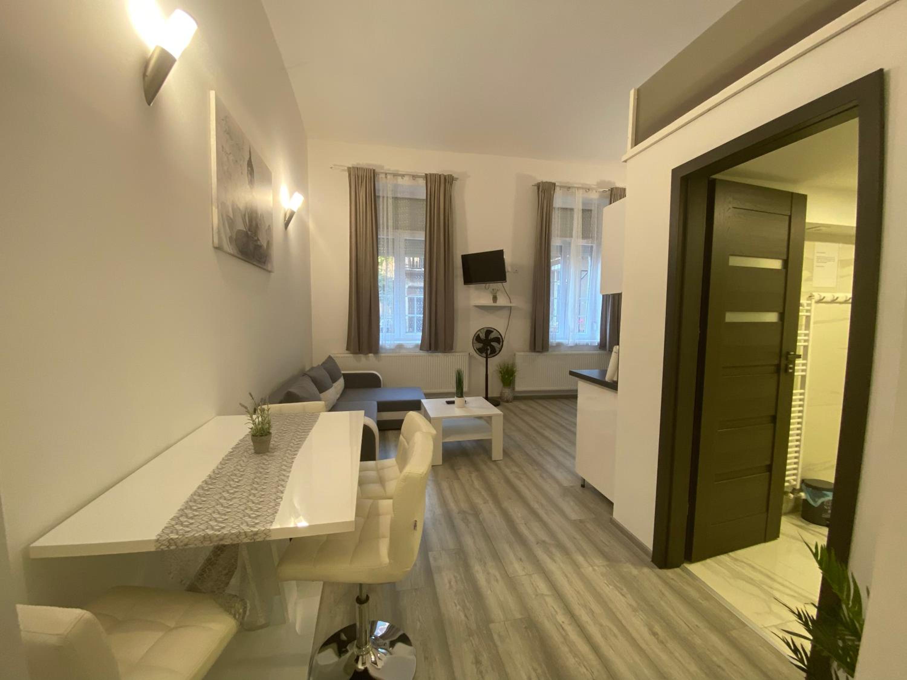 Belvárosi Apartman 3 view 3