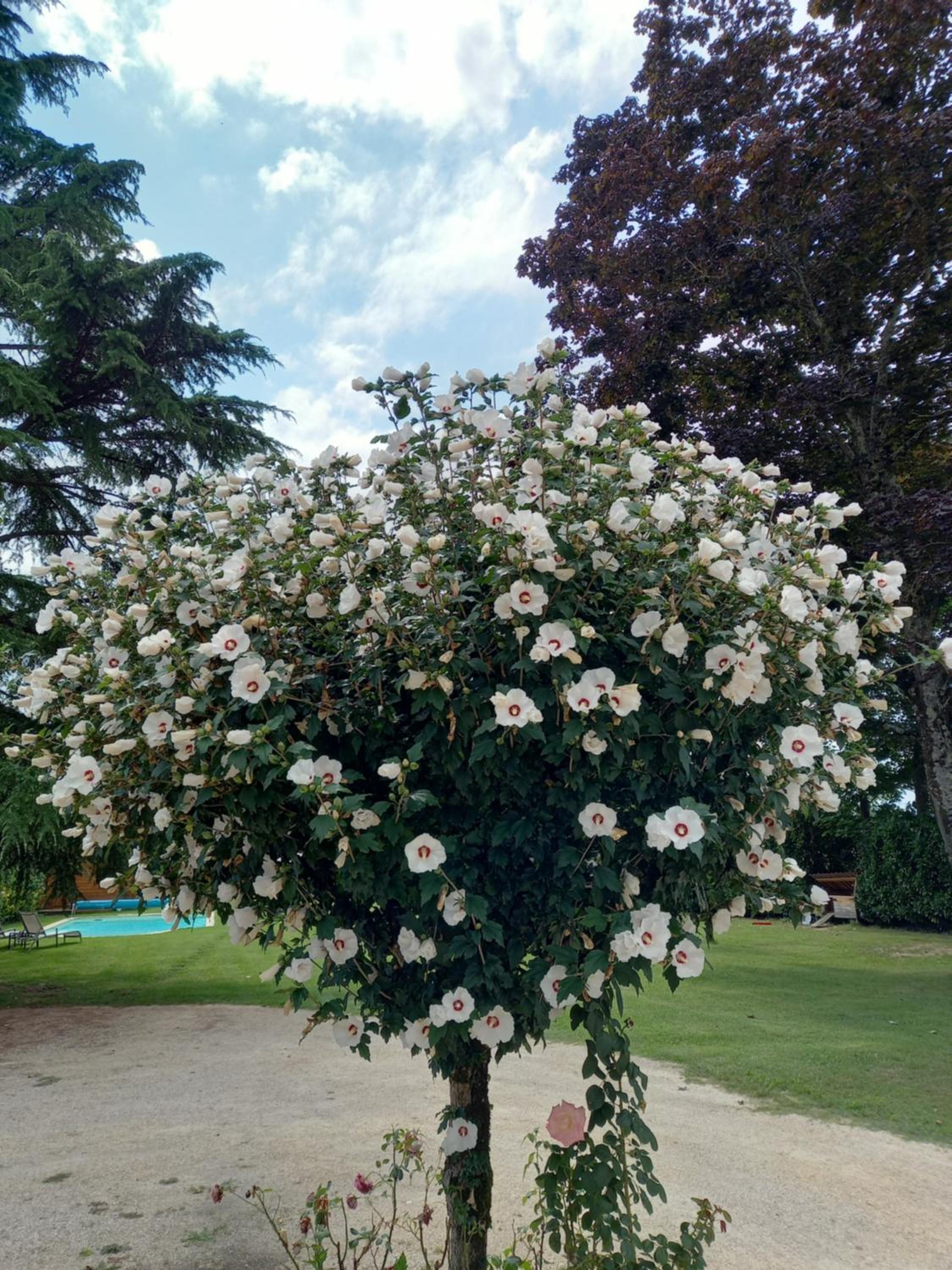 le domaine du chaffard view 5