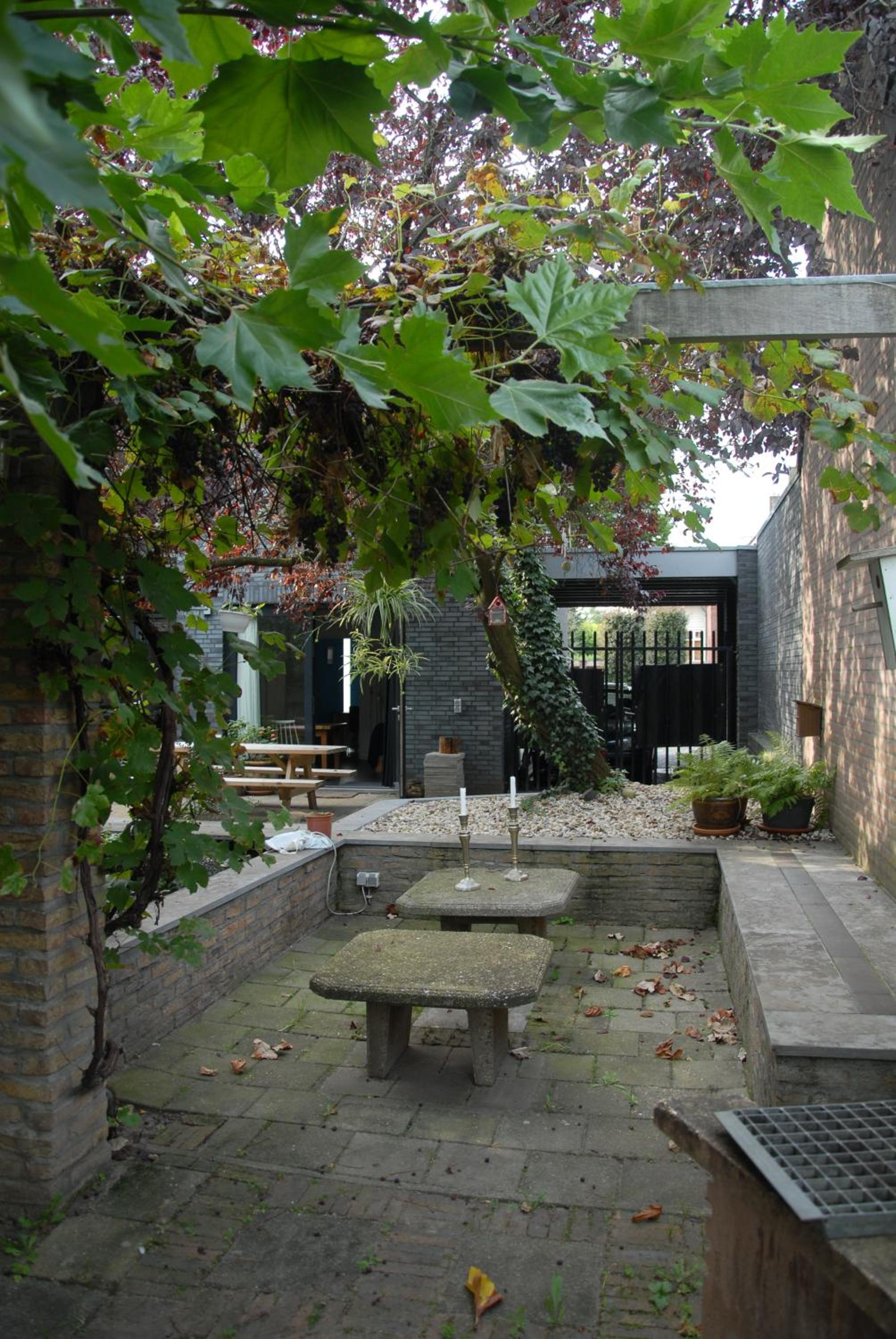 Photo 7
