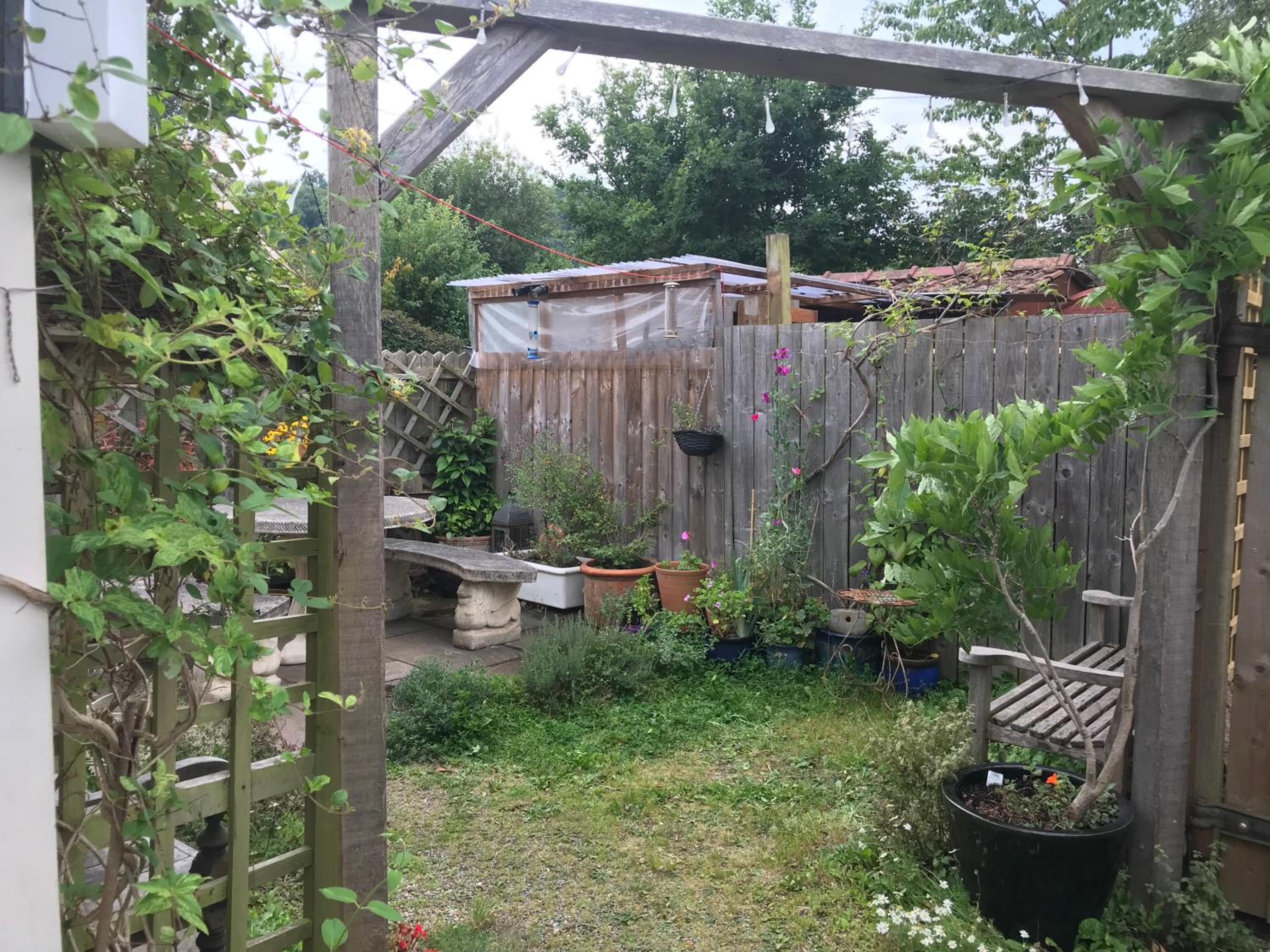 Photo 11