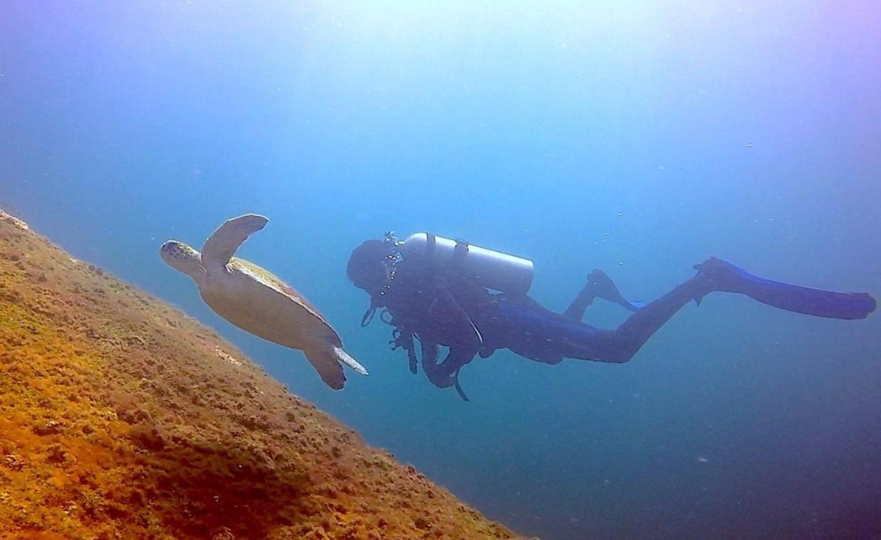 Pousada Aquamaster Dive Center