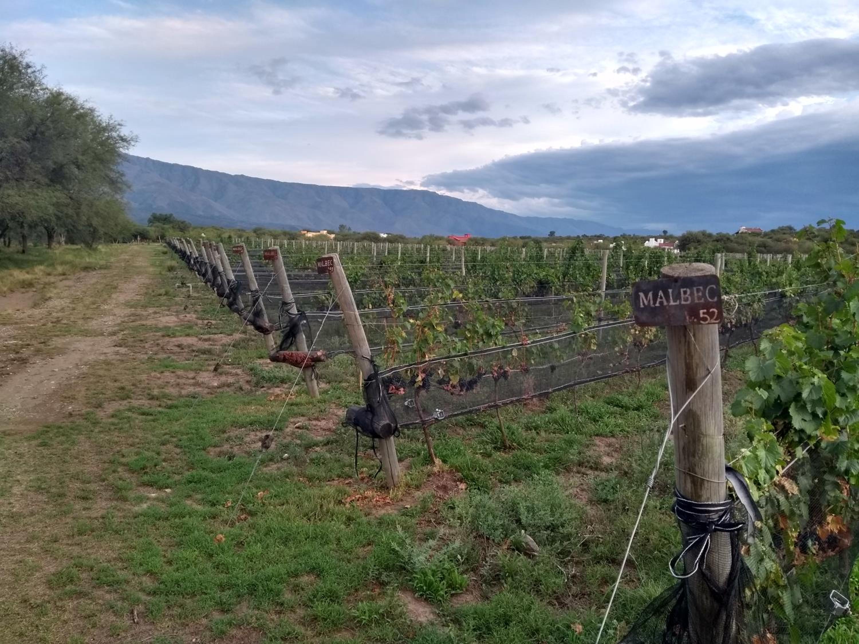 La Morada, imperdible Casa de Campo en La Matilde