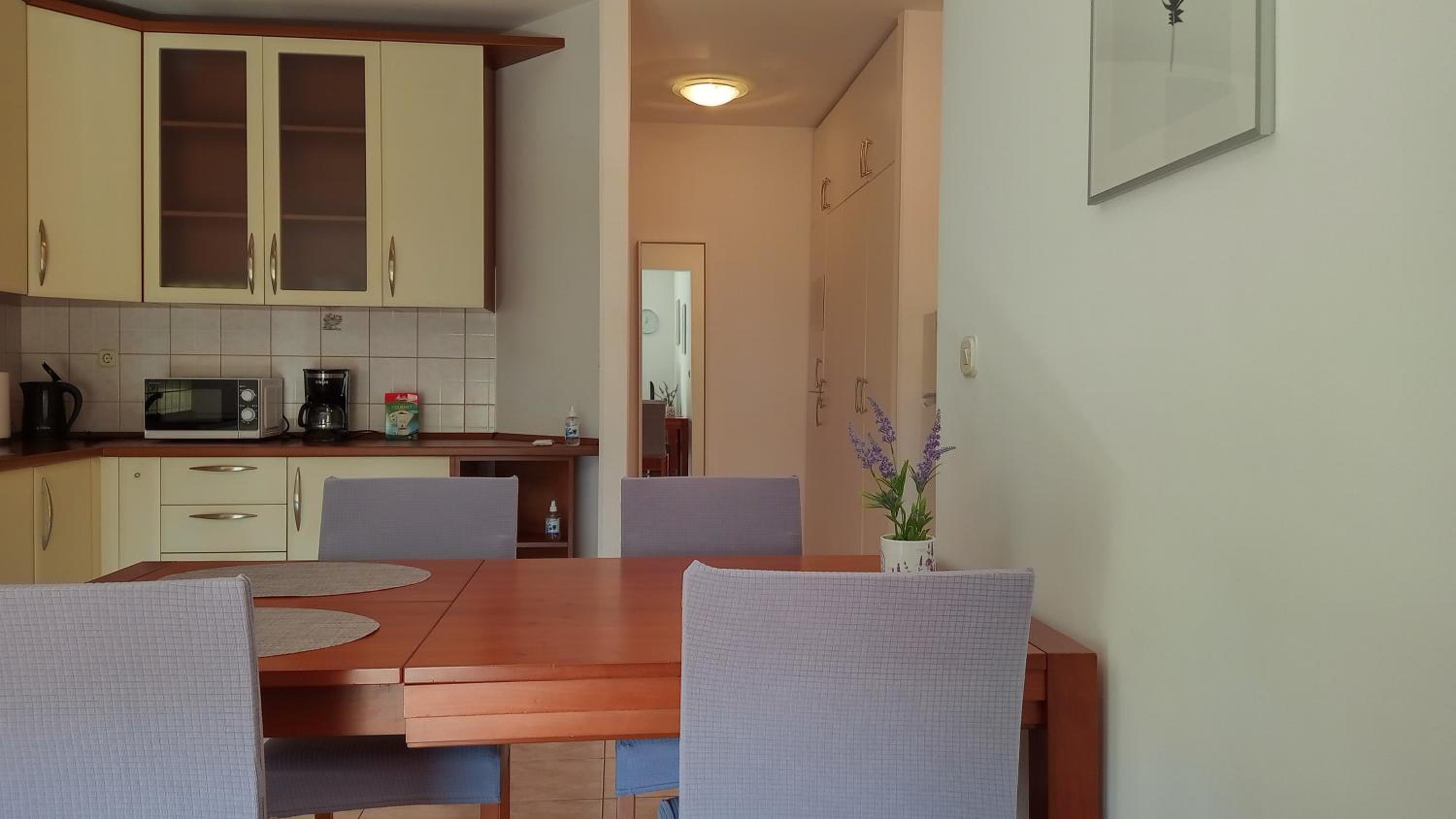 Apartment Tereza