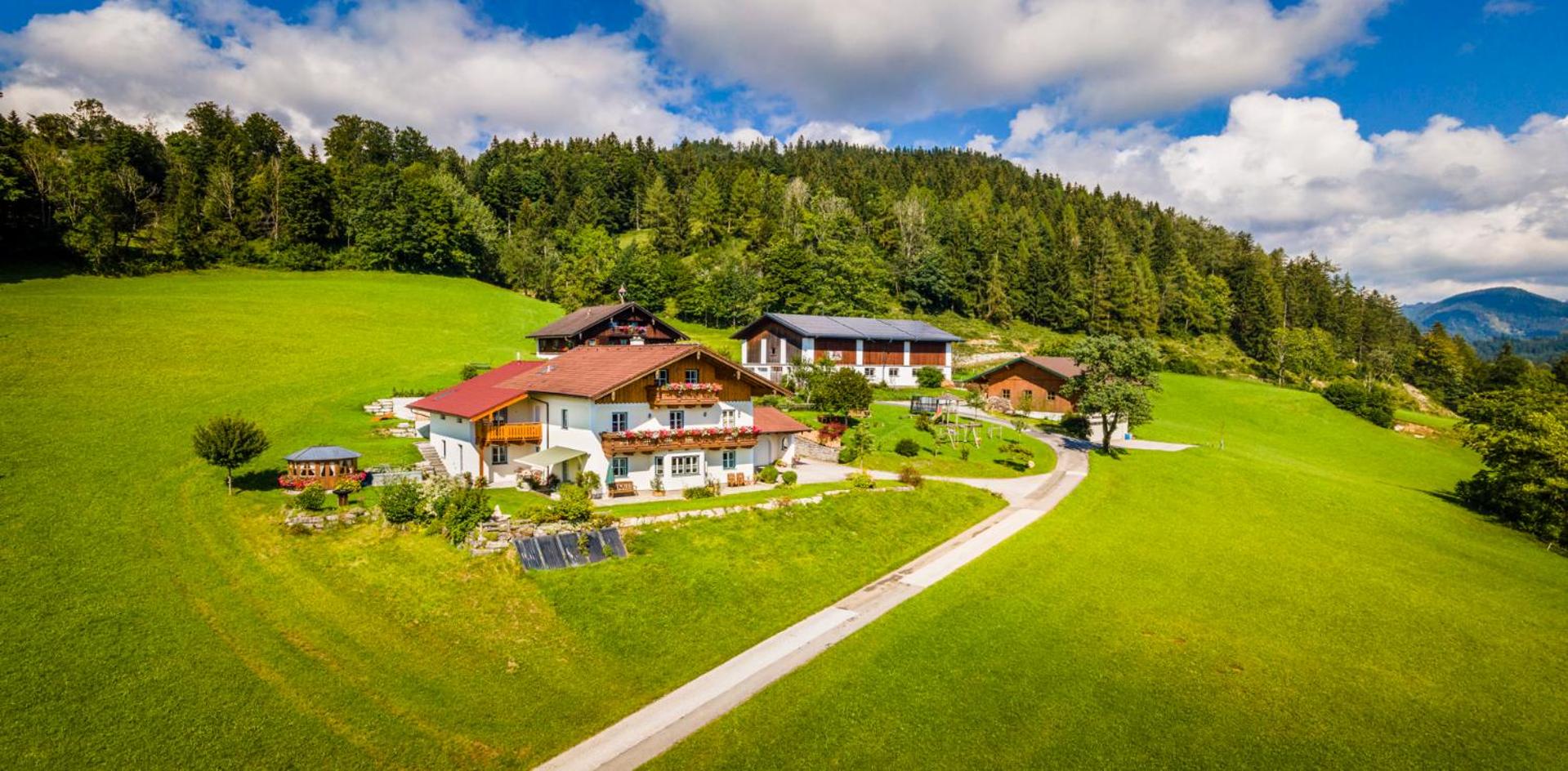 Bio-Familienbauernhof Grubsteighof view 4