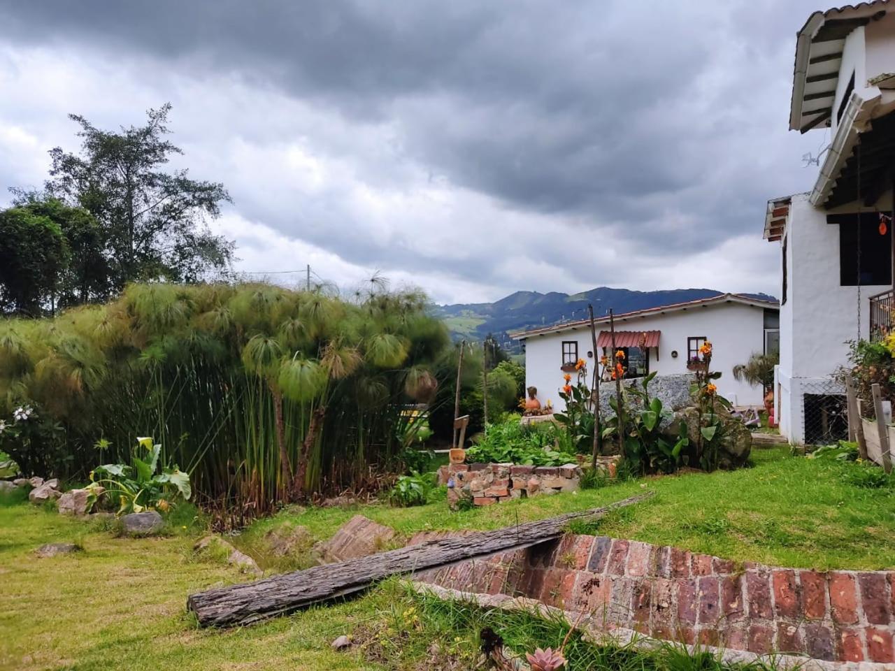 Wepa la Pepa Campestre