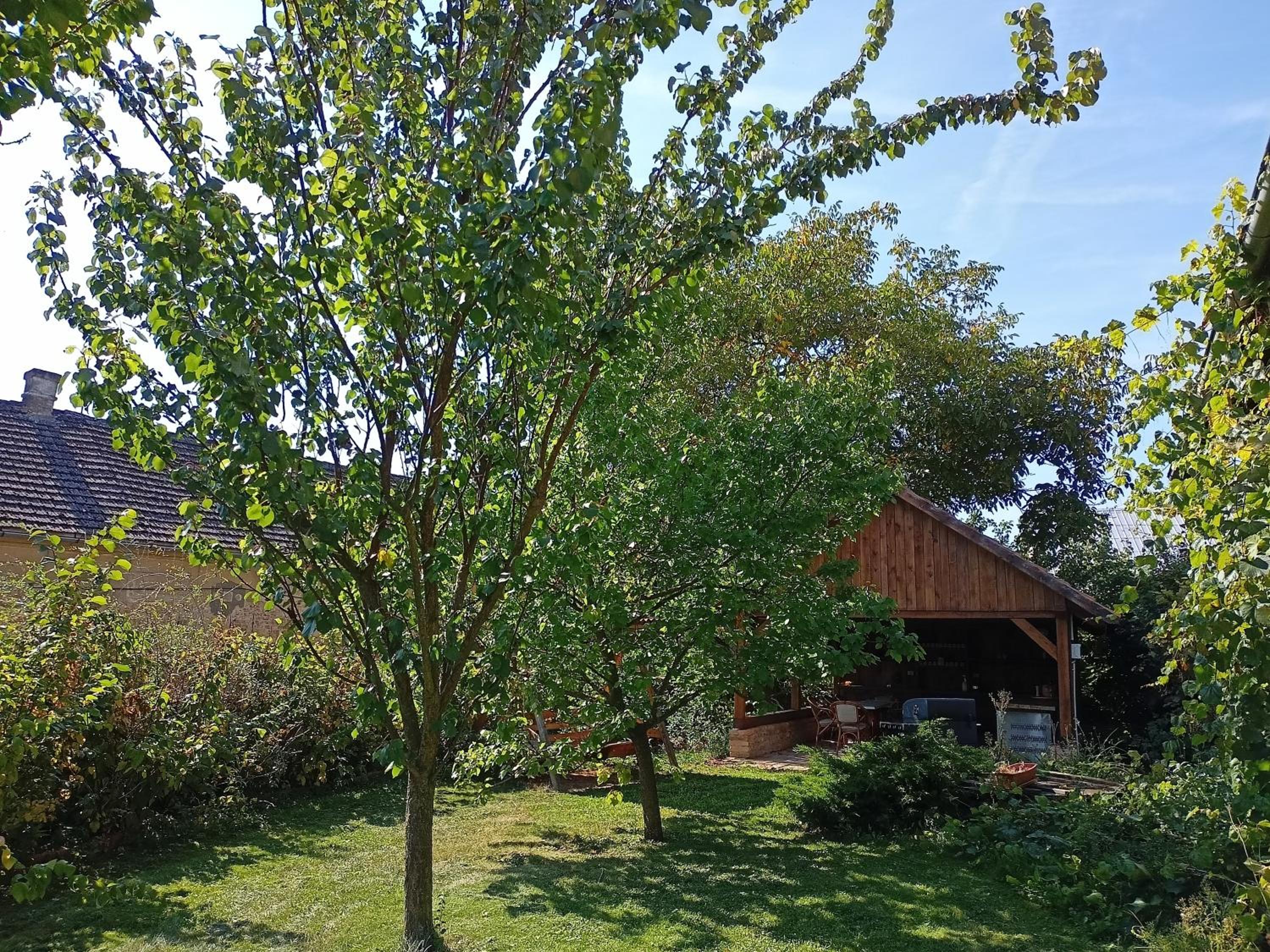 Photo 25