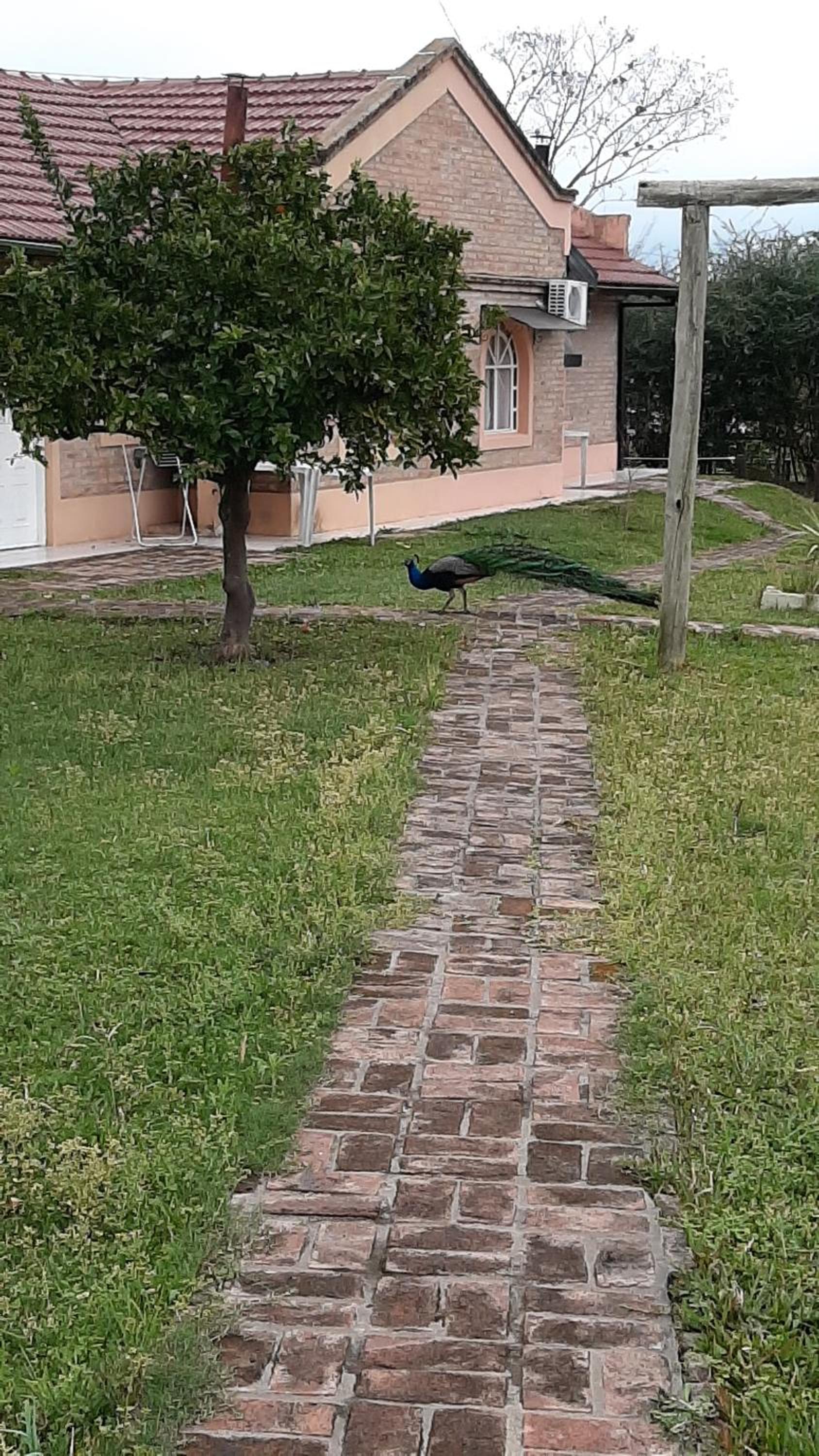 Cabañas de Ayui