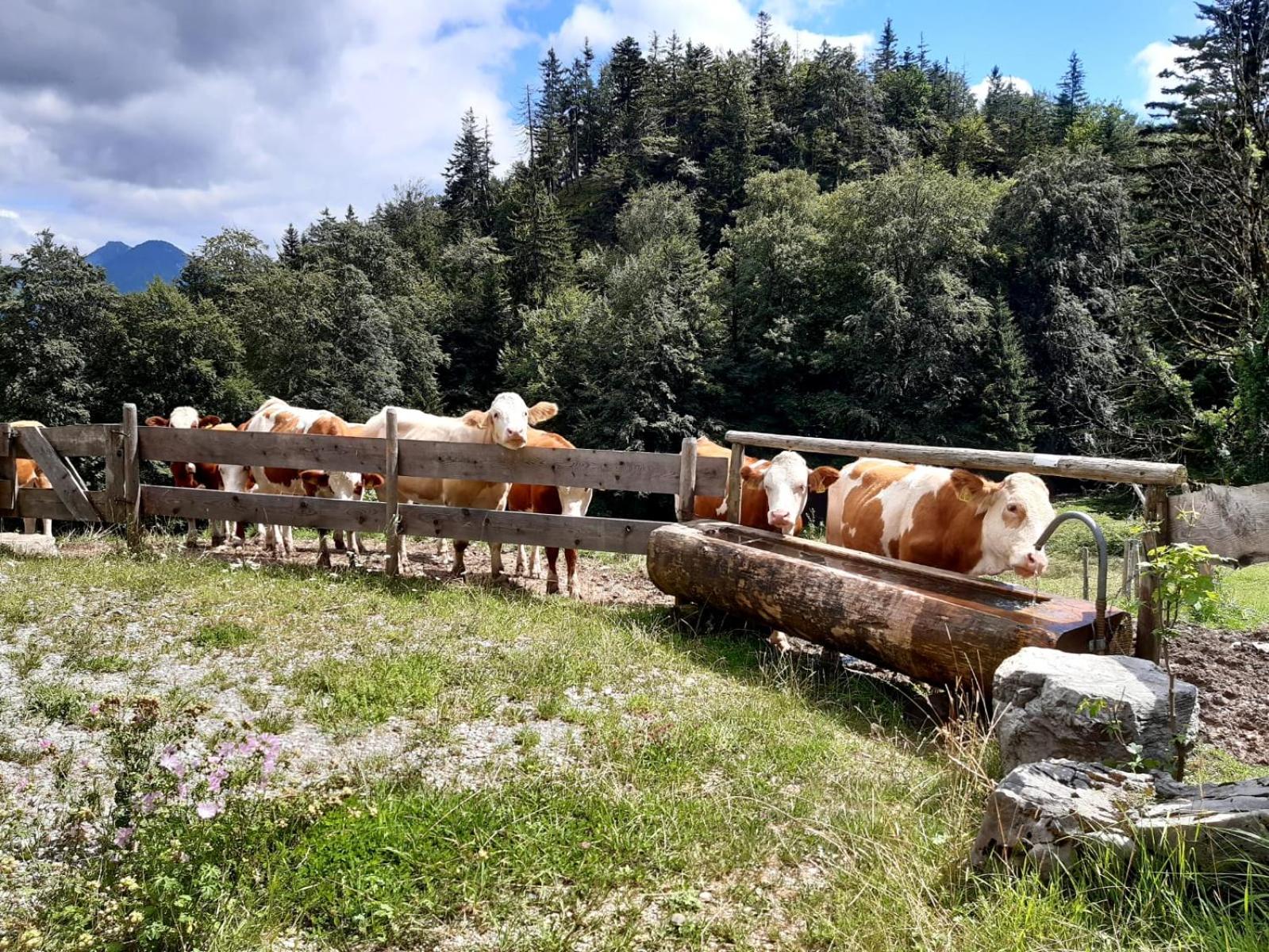 Huberhof, Mettenham view 2