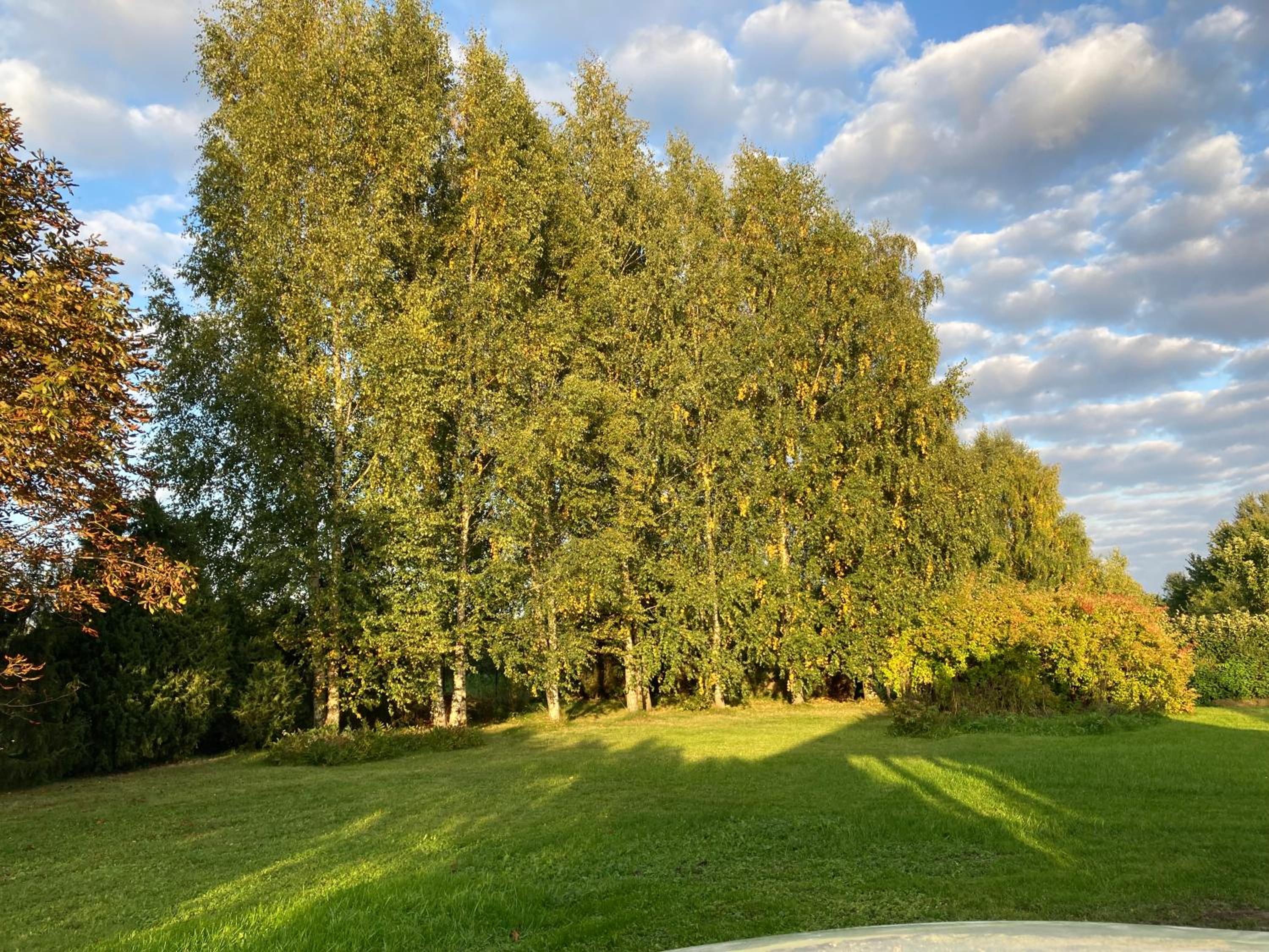 Photo 45