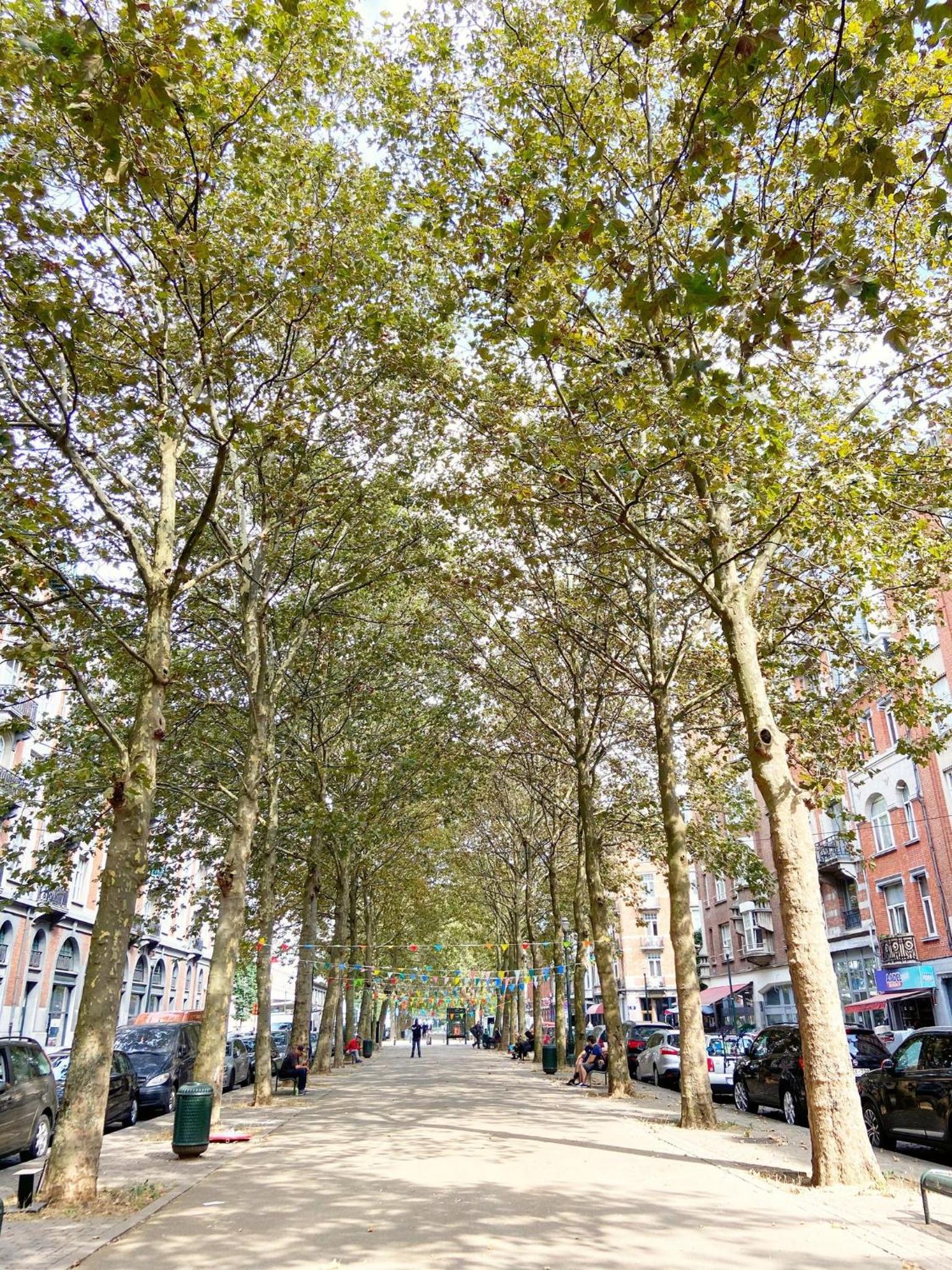 Quartier des Quais Dansaert view 2