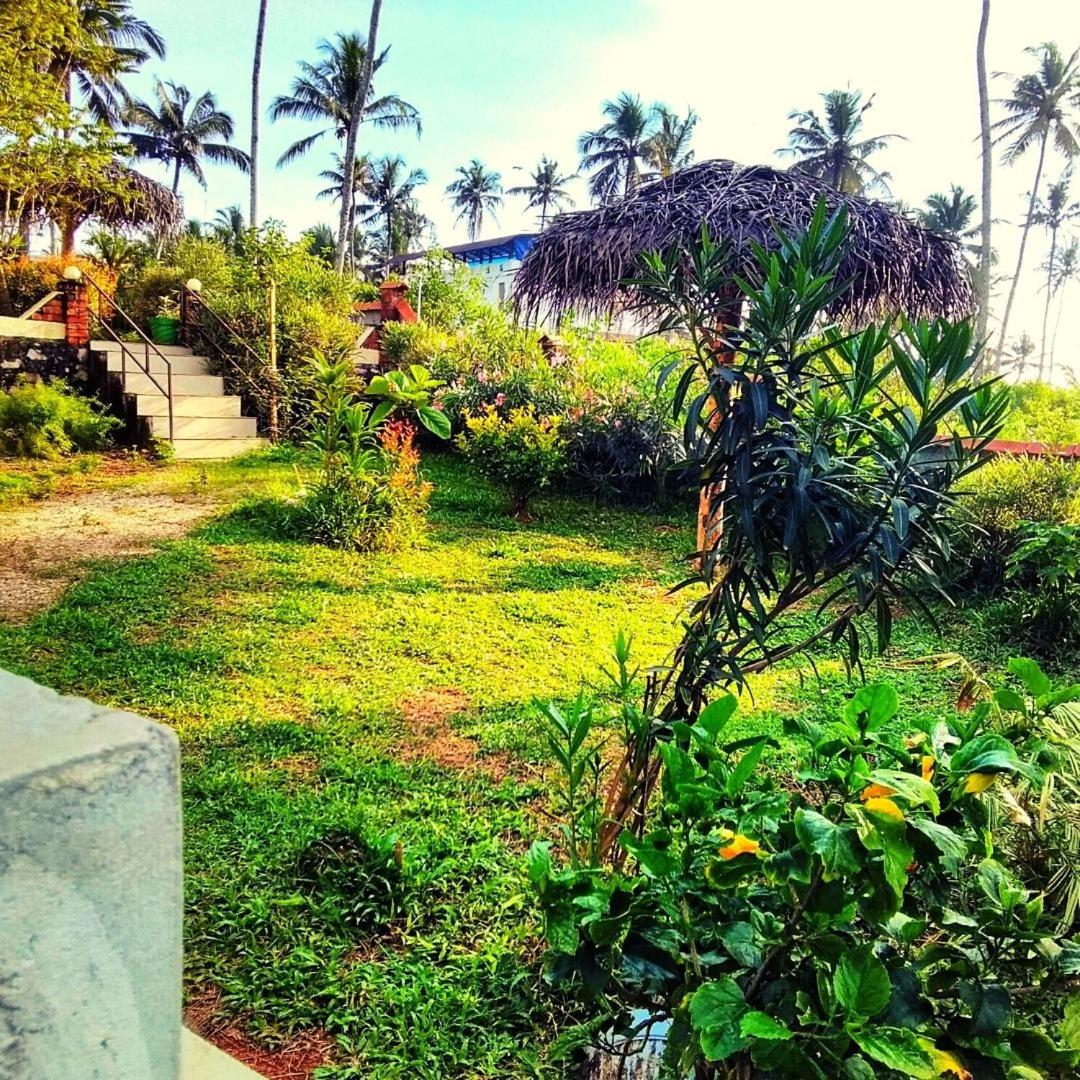 Photo 9