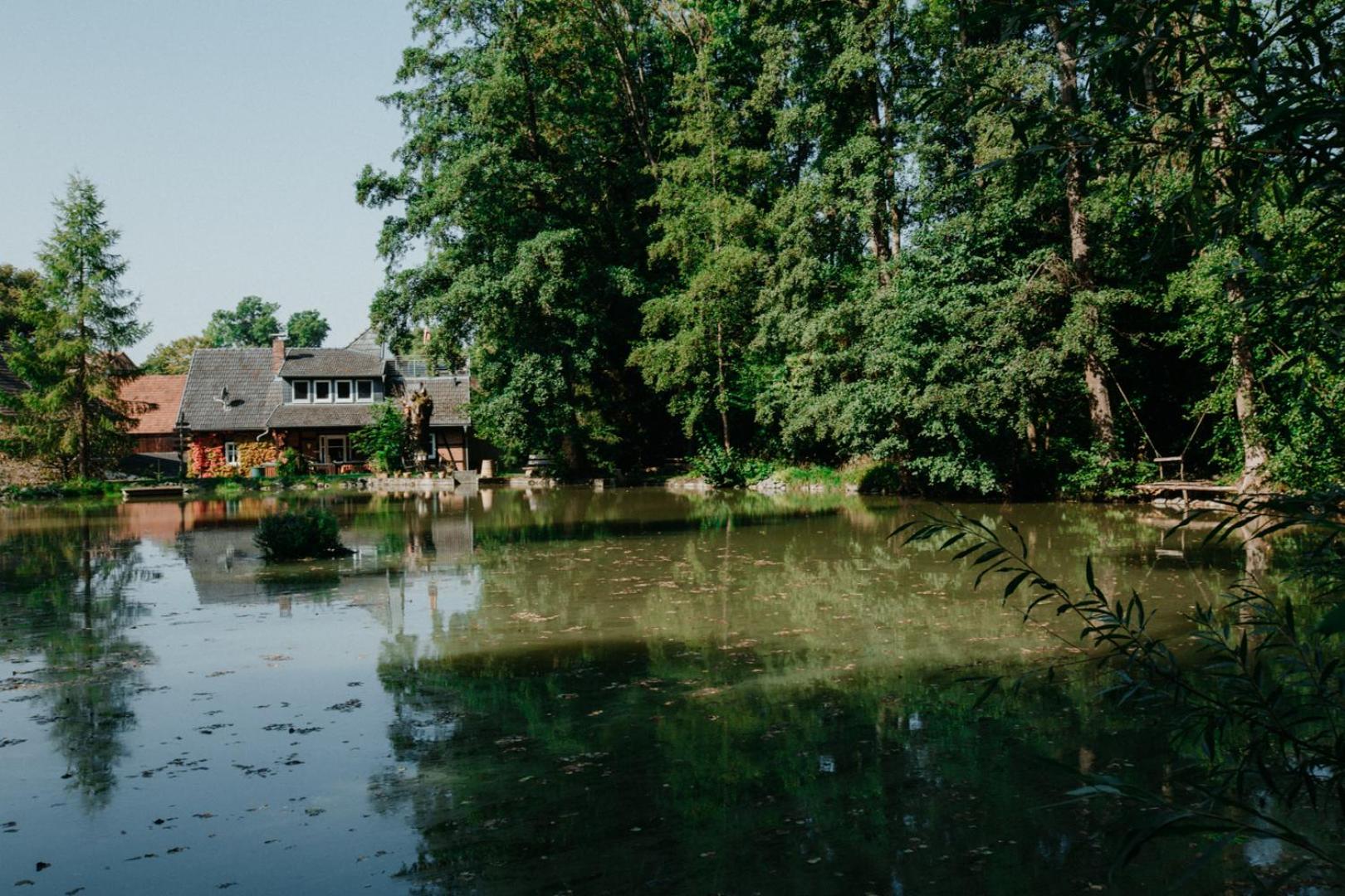 Ferienwohnung „Alte Mühle“ view 5