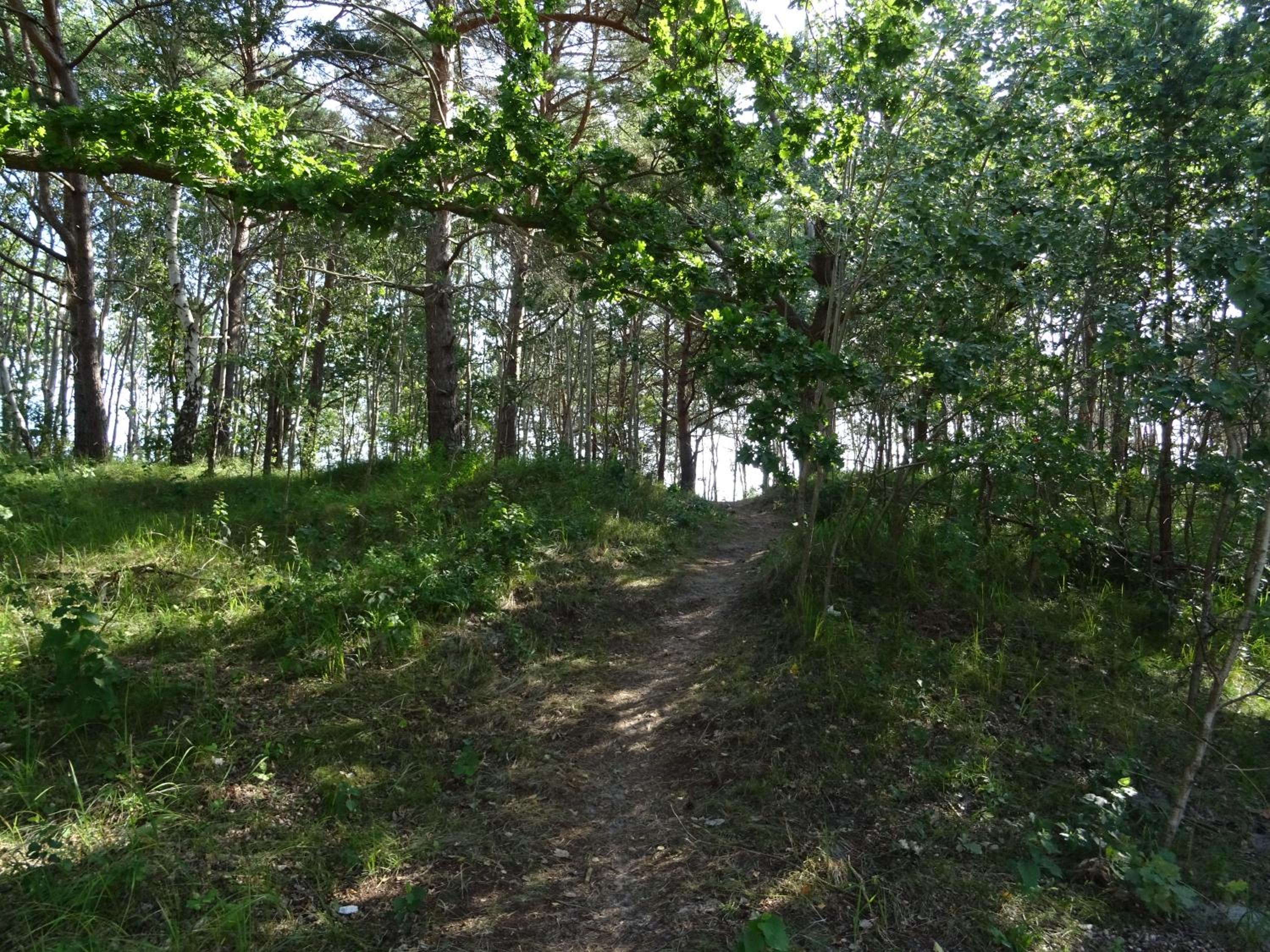 Photo 22