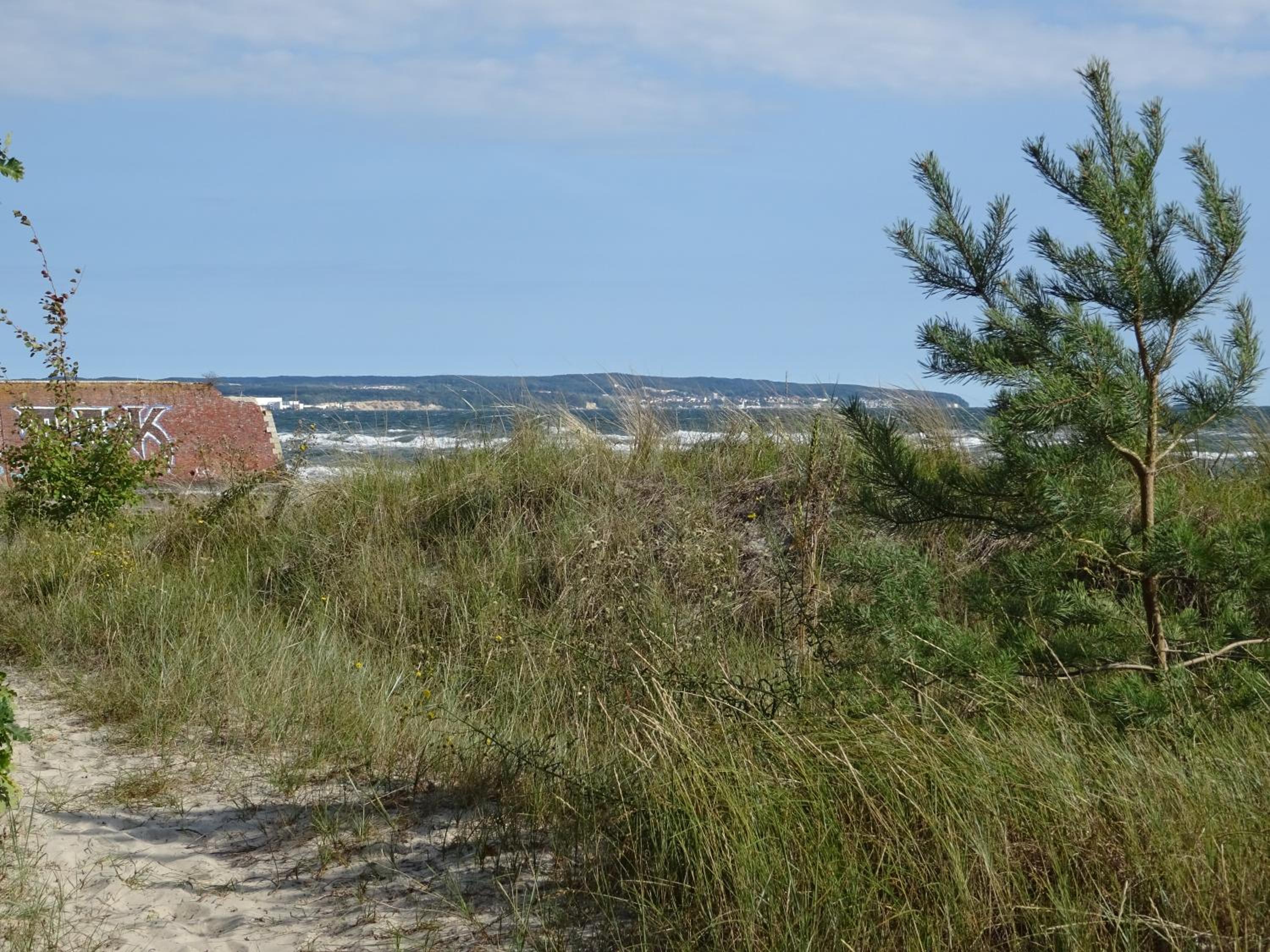Photo 29