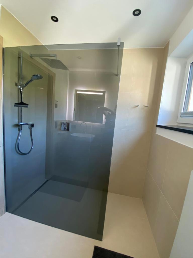 Alpine Apartment Belluca