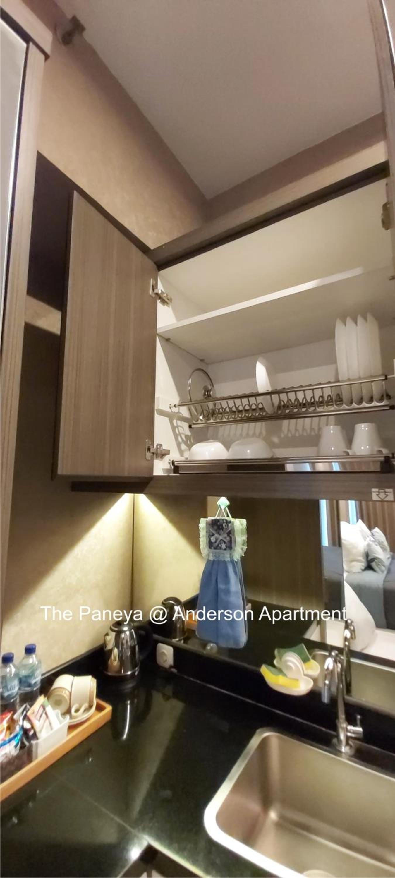 The Paneya@Anderson Apartment — photo 49