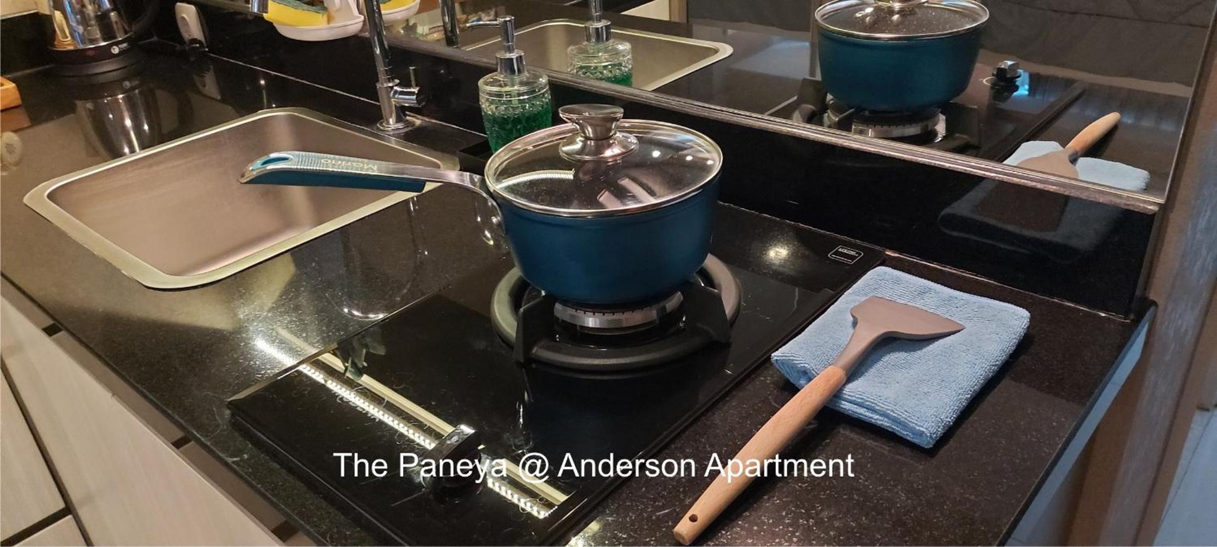 The Paneya@Anderson Apartment — photo 10