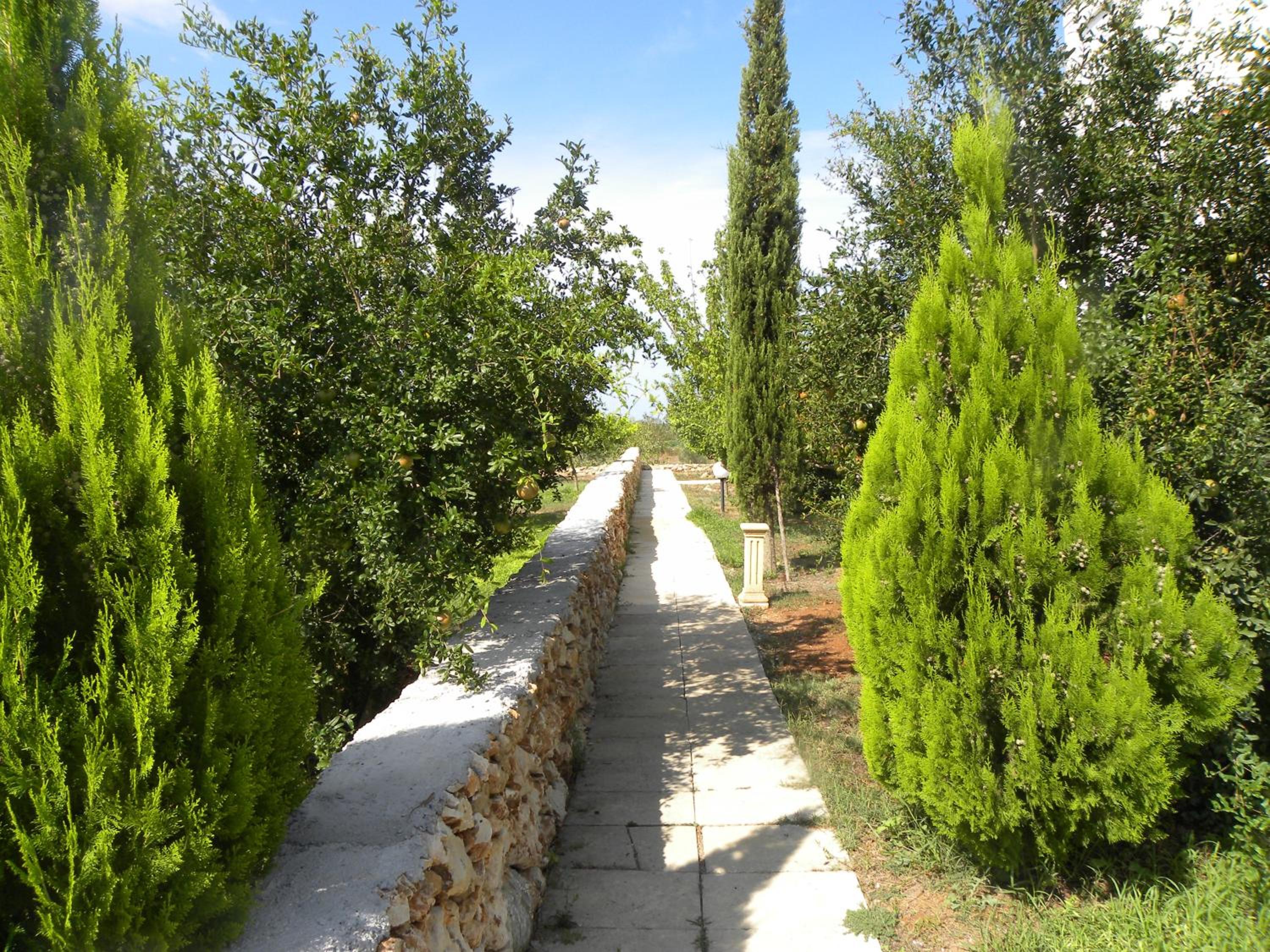 Masseria Agriturismo Faresalento