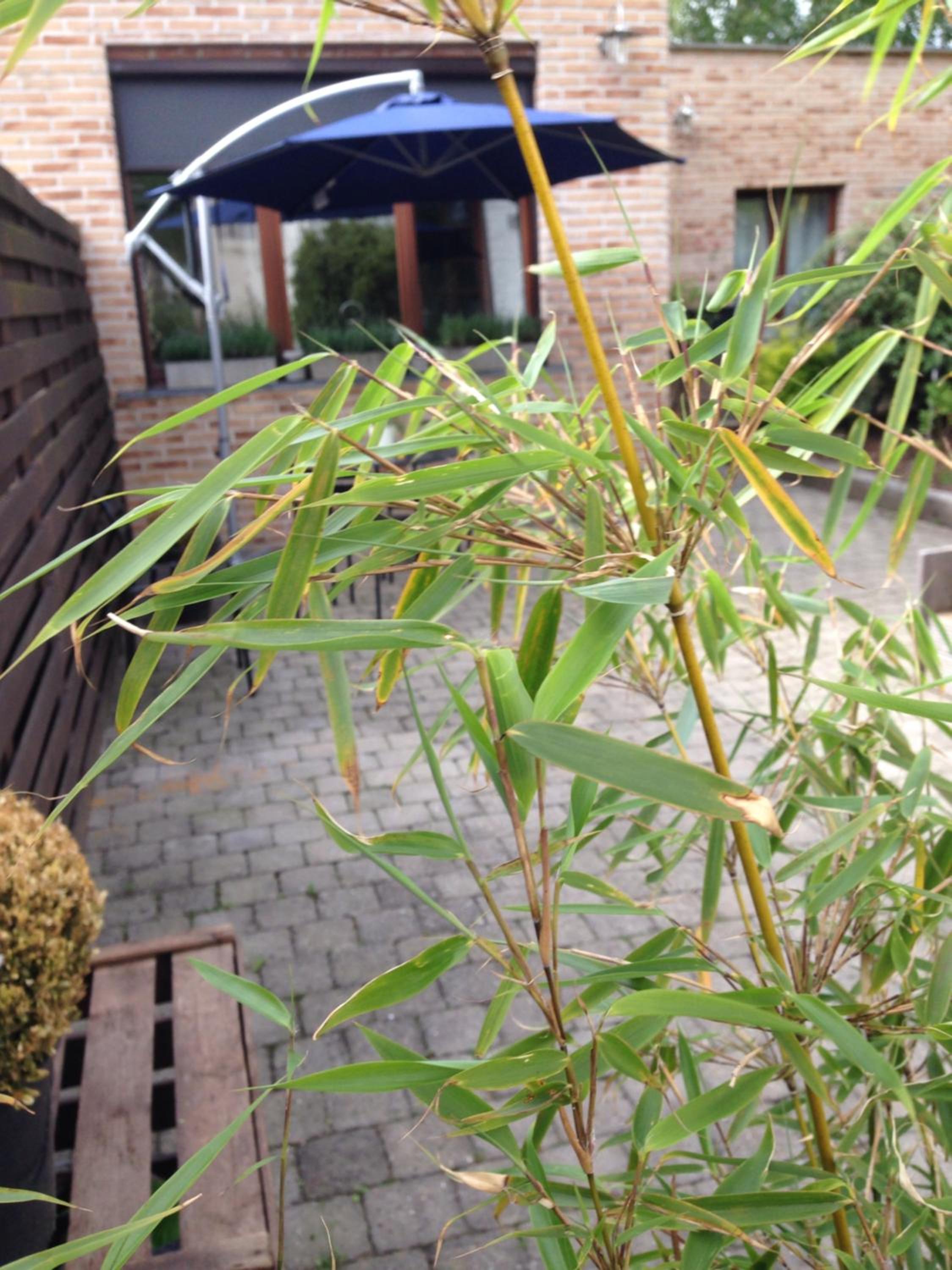 Photo 23