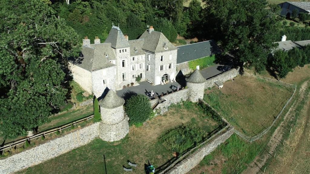 Château du Puech view 3